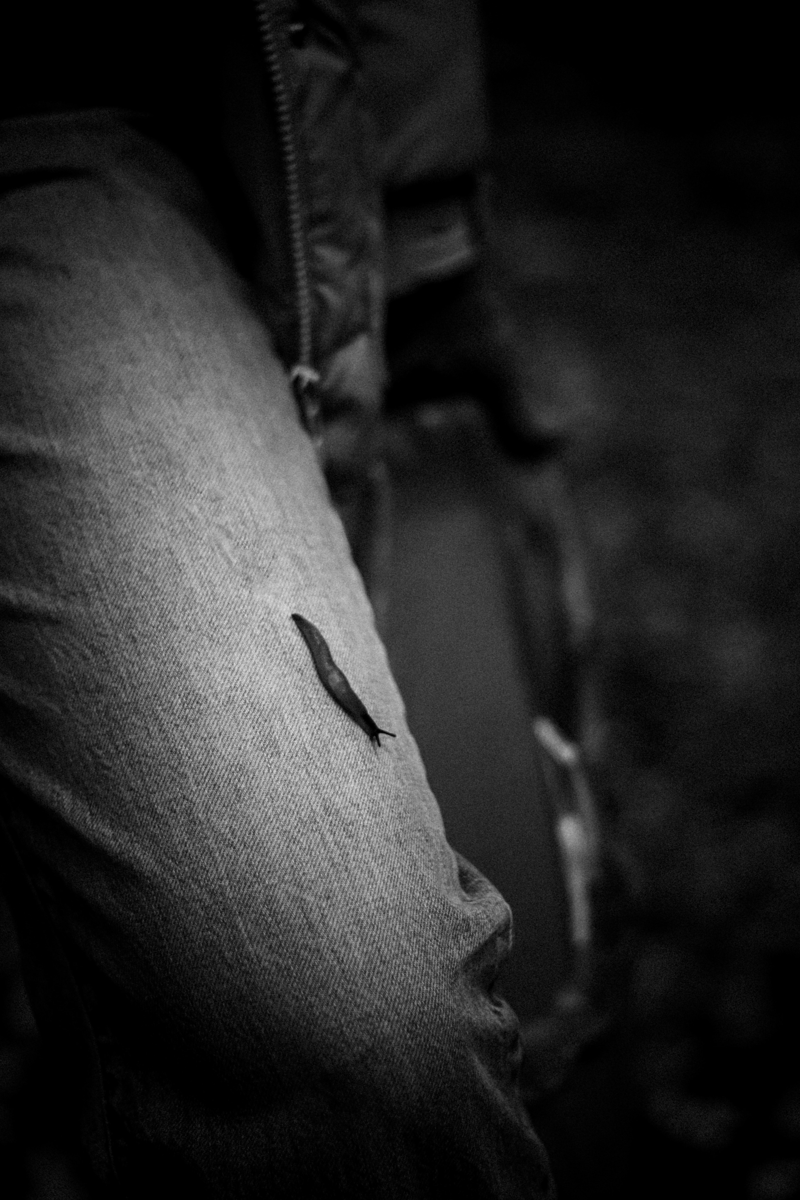 Cleaning the forest with Arshak Makichyan, September 2021. Photographer in Israel Alice Milchin