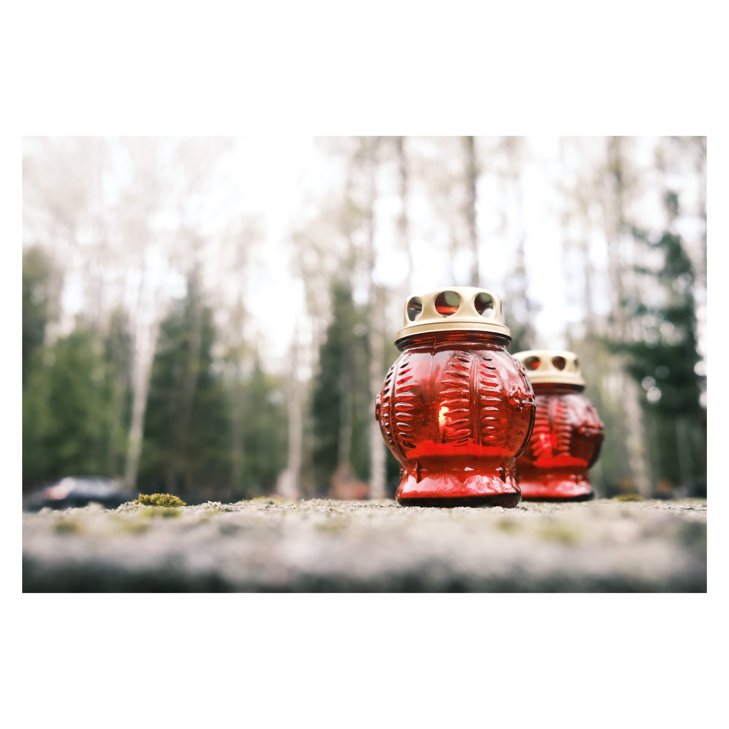 DMITLAG: Memorial, May-June 2022. Photographer in Israel Alice Milchin