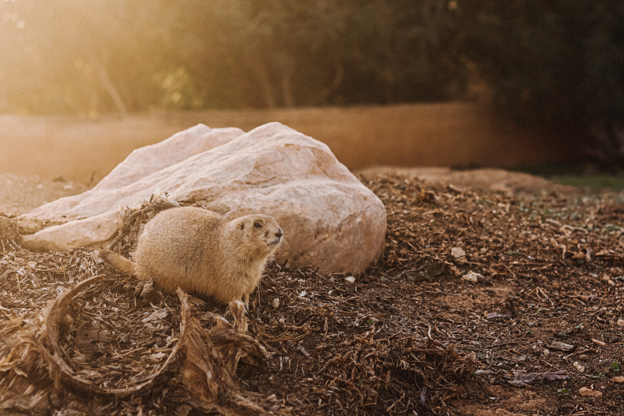 Attica Zoo, Greece, November 2021. Photographer in Israel Alice Milchin