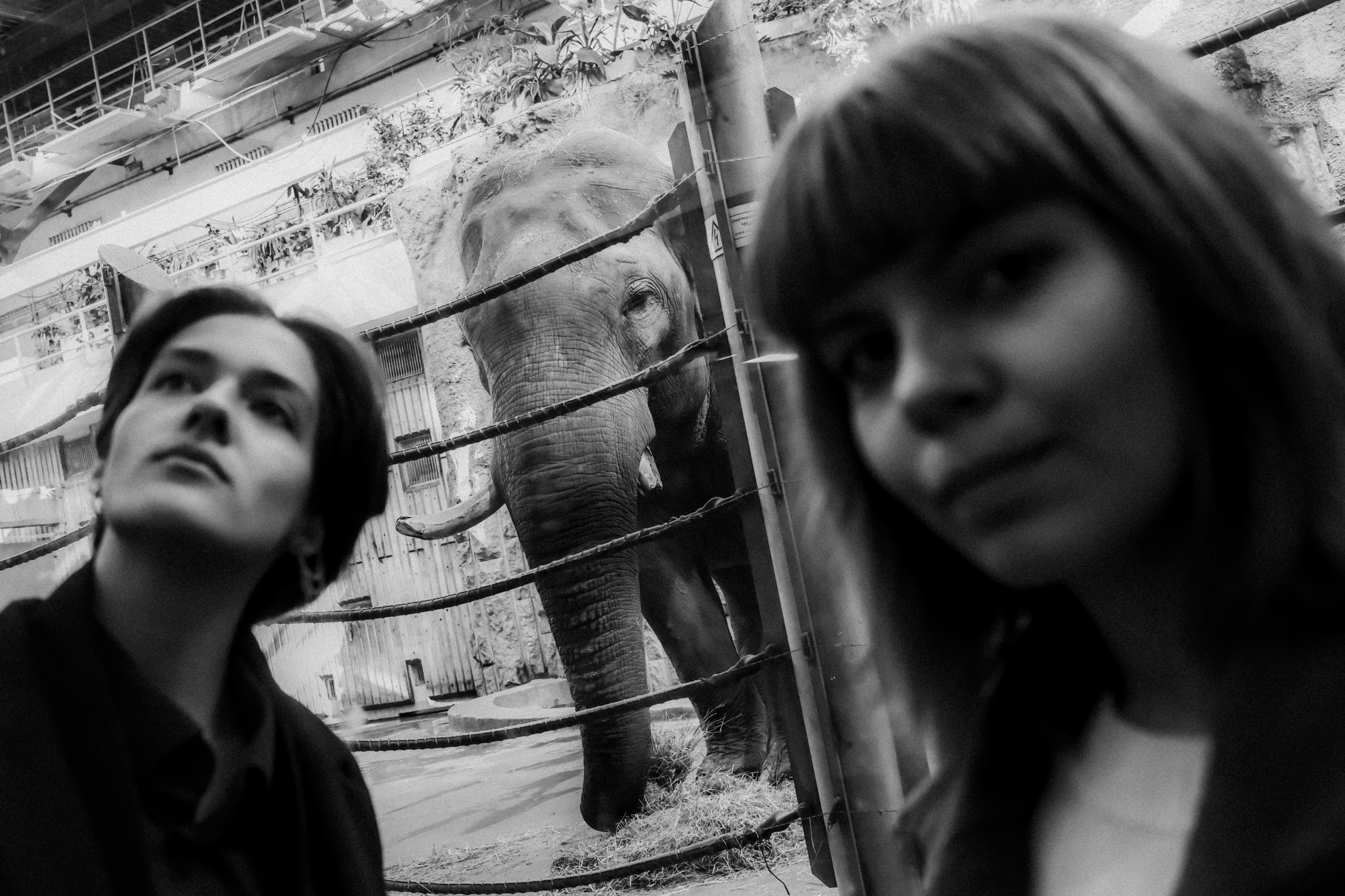 Sasha and Sasha, October 2022. Photographer in Israel Alice Milchin