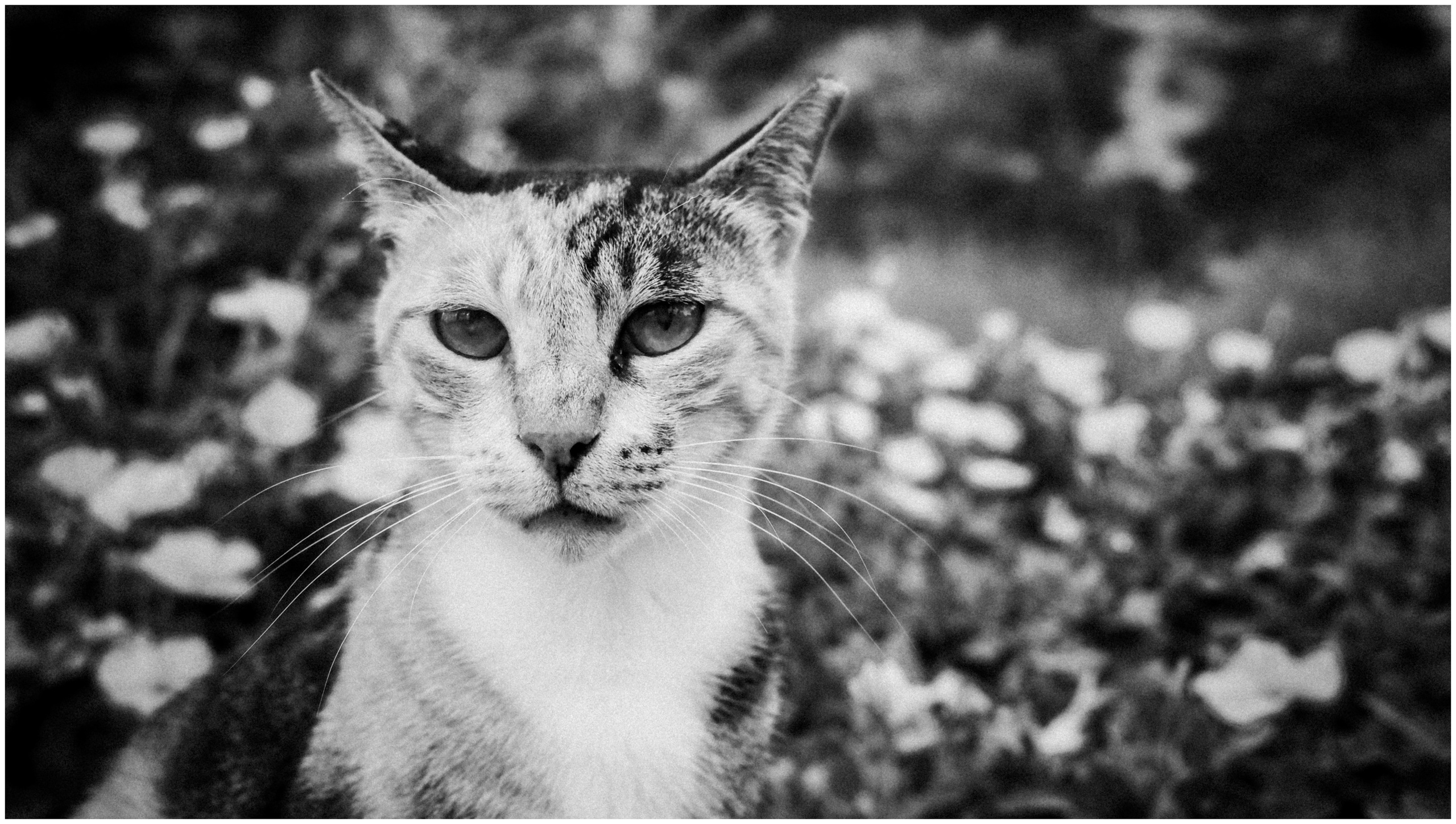 Summer in Israel, 2022. Photographer in Israel Alice Milchin