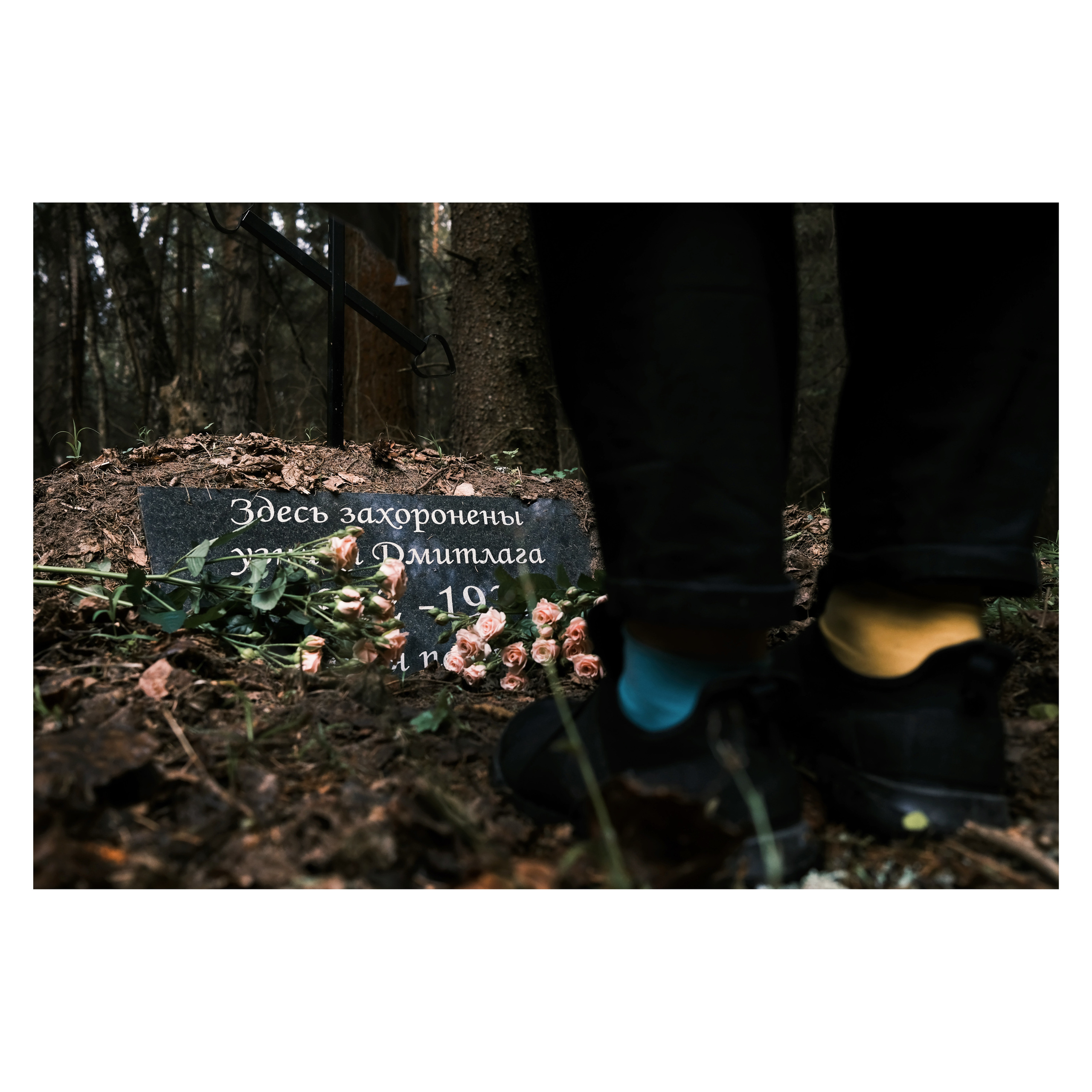 DMITLAG: Memorial, May-June 2022. Photographer in Israel Alice Milchin