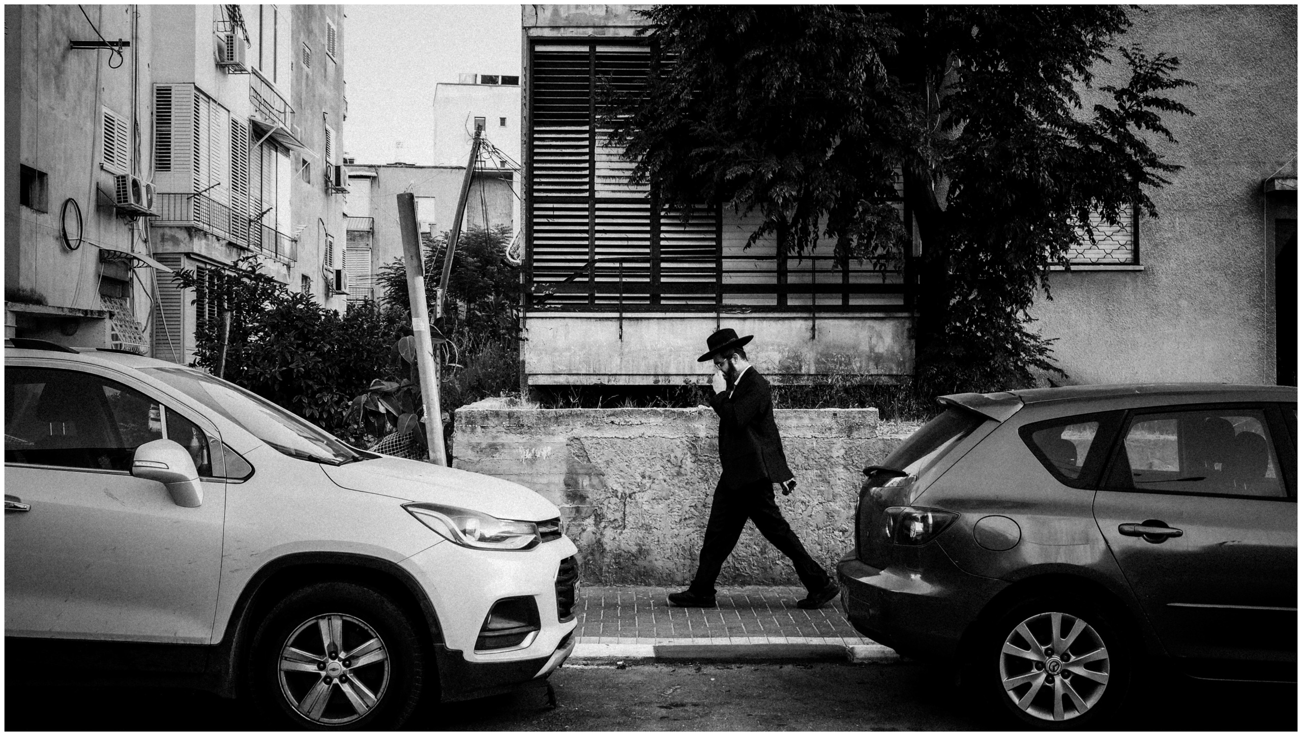 Summer in Israel, 2022. Photographer in Israel Alice Milchin