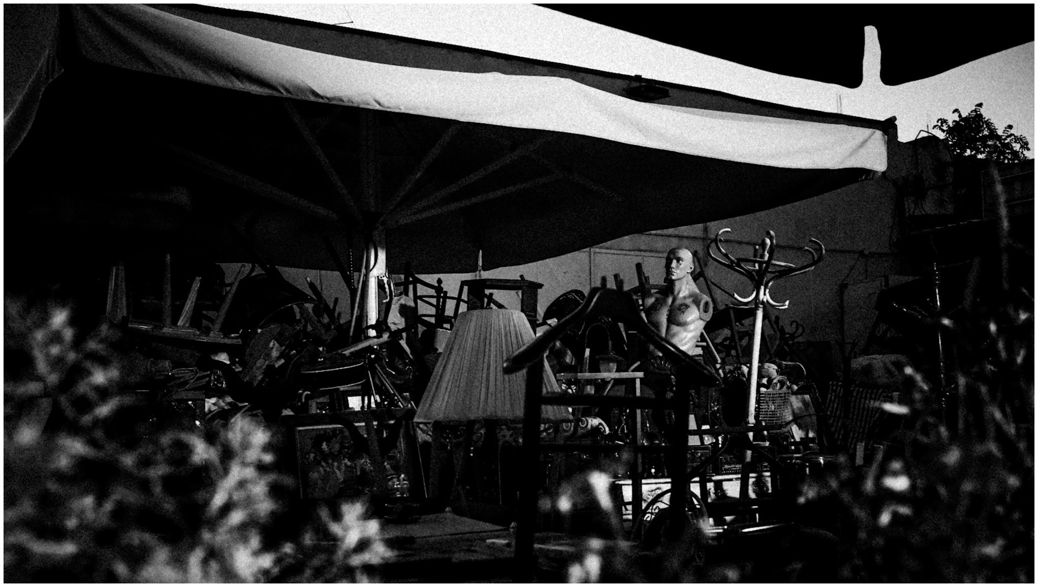 Summer in Israel, 2022. Photographer in Israel Alice Milchin