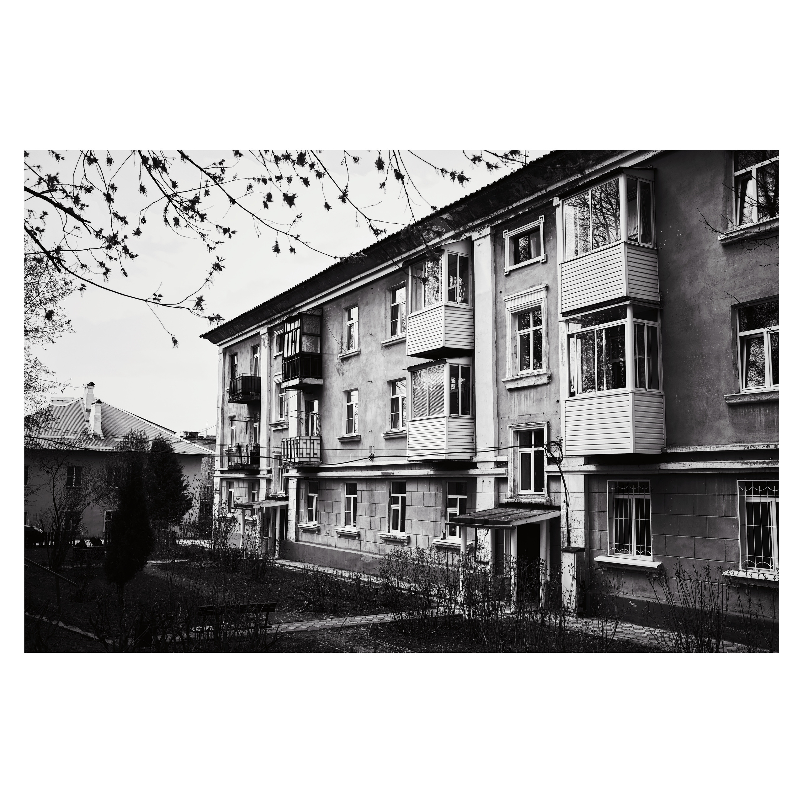 DMITLAG: Memorial, May-June 2022. Photographer in Israel Alice Milchin