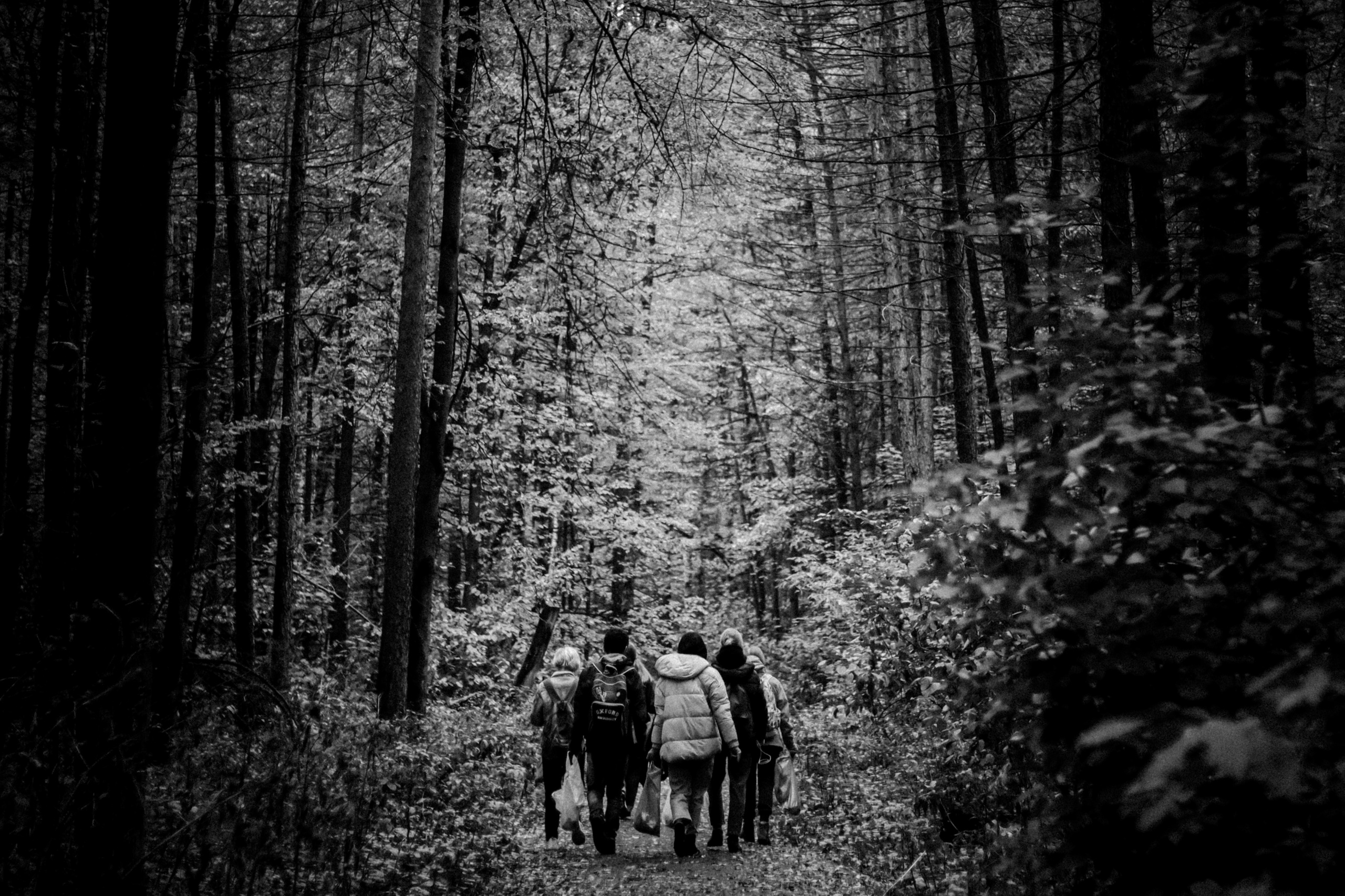 Cleaning the forest with Arshak Makichyan, September 2021. Photographer in Israel Alice Milchin