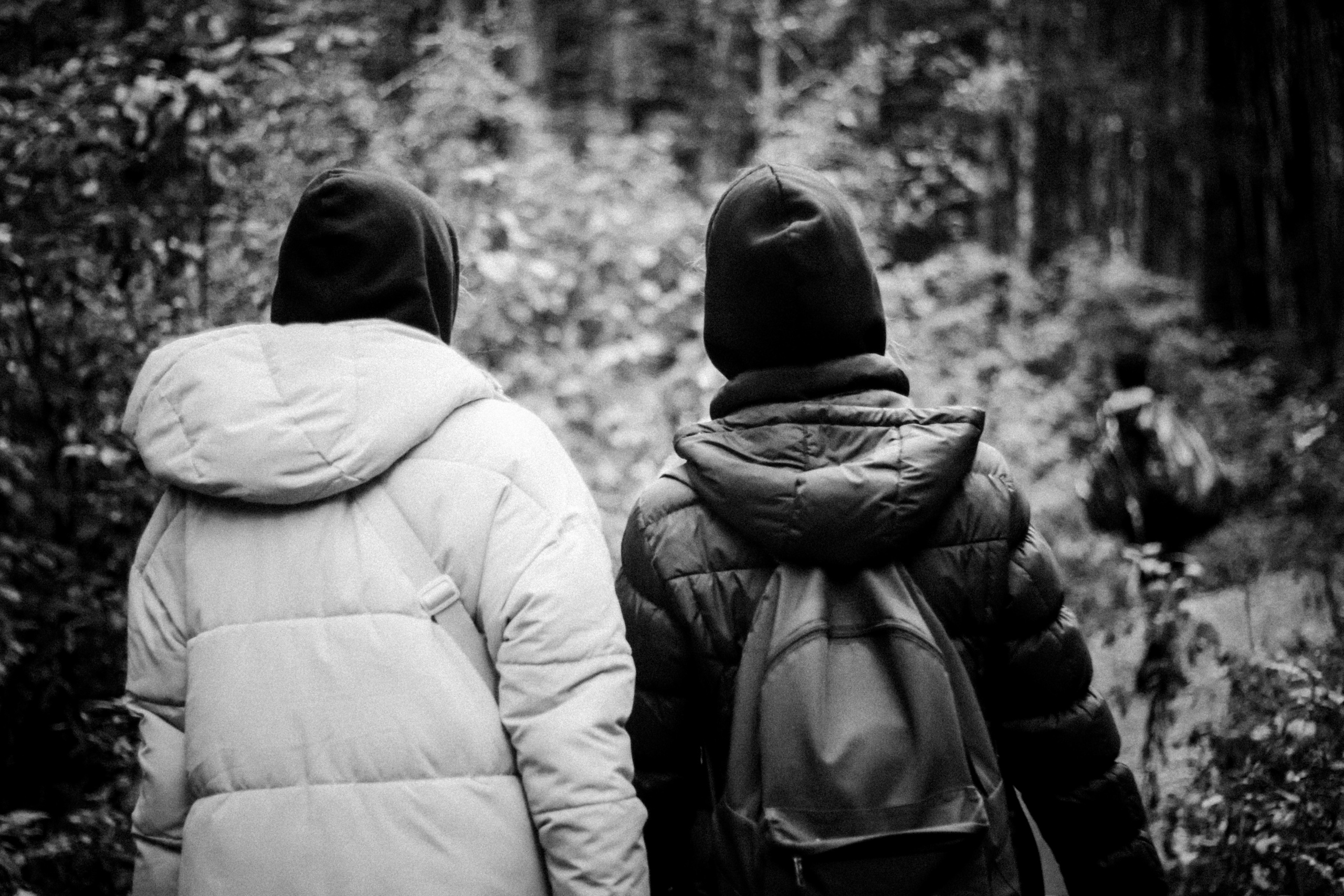 Cleaning the forest with Arshak Makichyan, September 2021. Photographer in Israel Alice Milchin