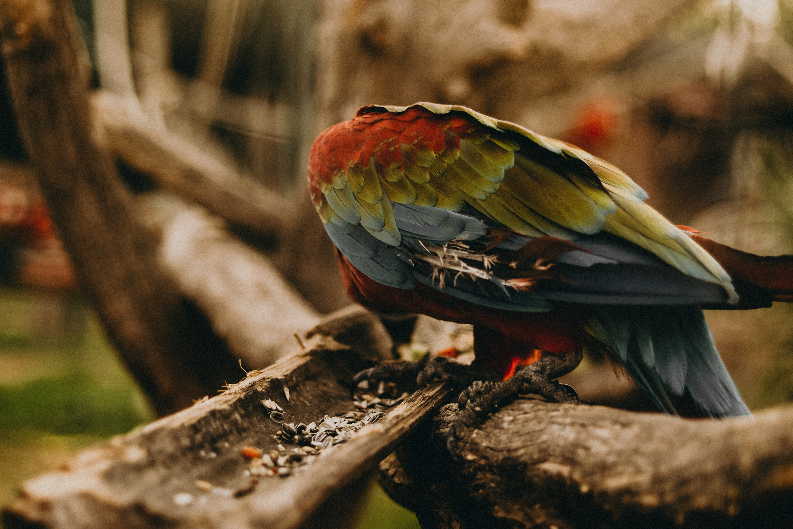 Attica Zoo, Greece, November 2021. Photographer in Israel Alice Milchin