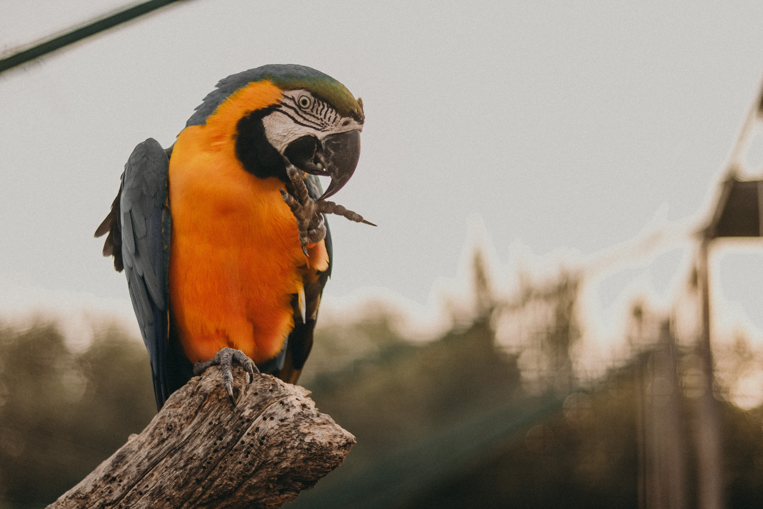 Attica Zoo, Greece, November 2021. Photographer in Israel Alice Milchin