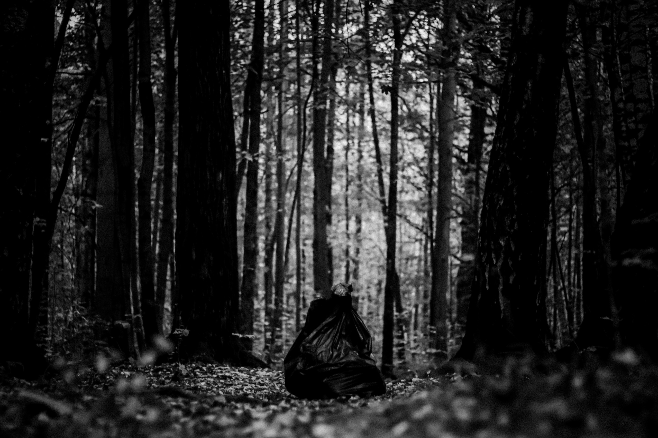 Cleaning the forest with Arshak Makichyan, September 2021. Photographer in Israel Alice Milchin