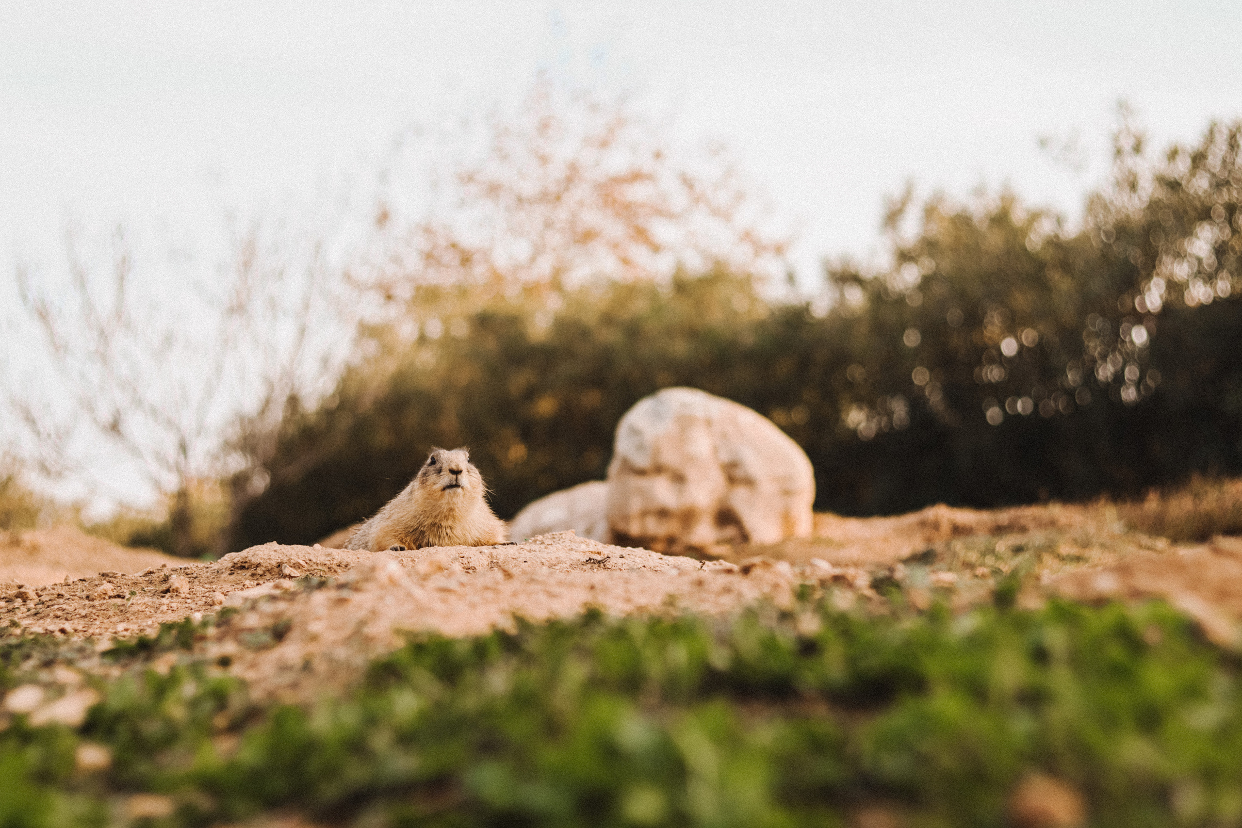 Attica Zoo, Greece, November 2021. Photographer in Israel Alice Milchin