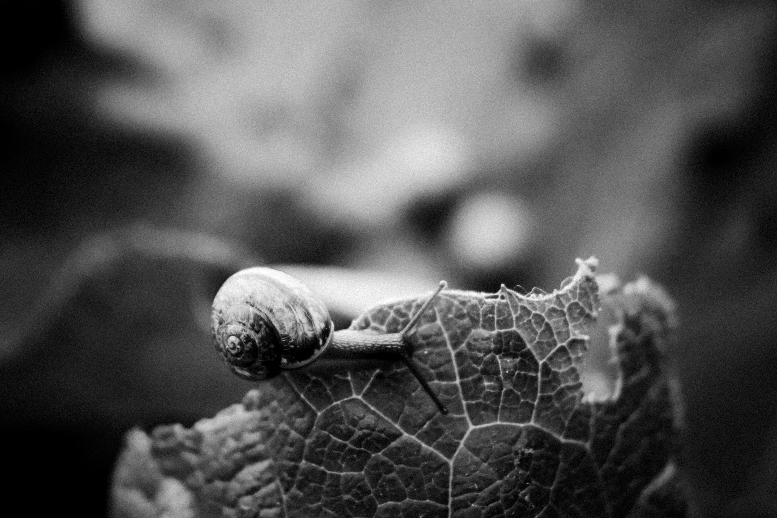 Russian nature, June 2020. Photographer in Israel Alice Milchin