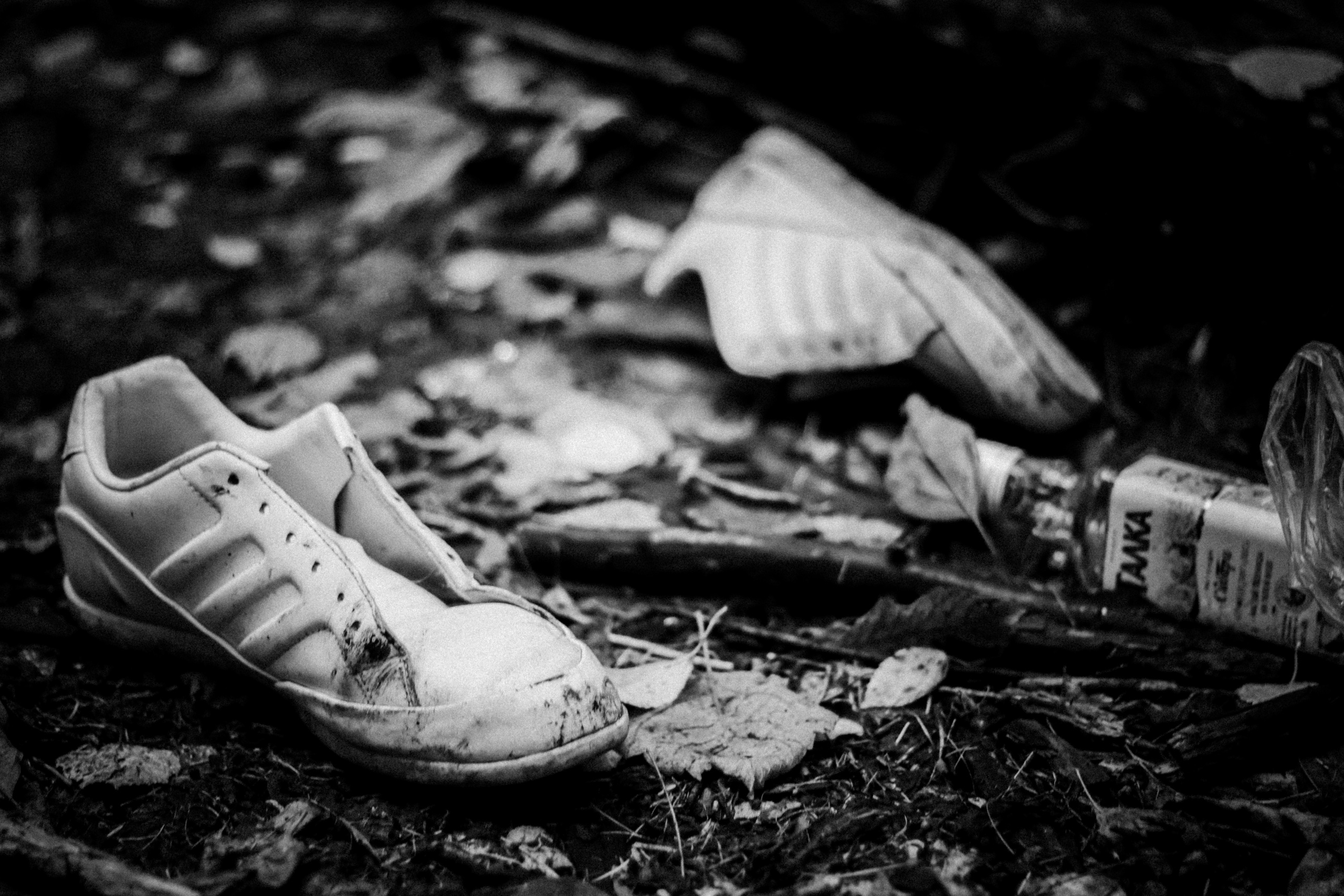 Cleaning the forest with Arshak Makichyan, September 2021. Photographer in Israel Alice Milchin