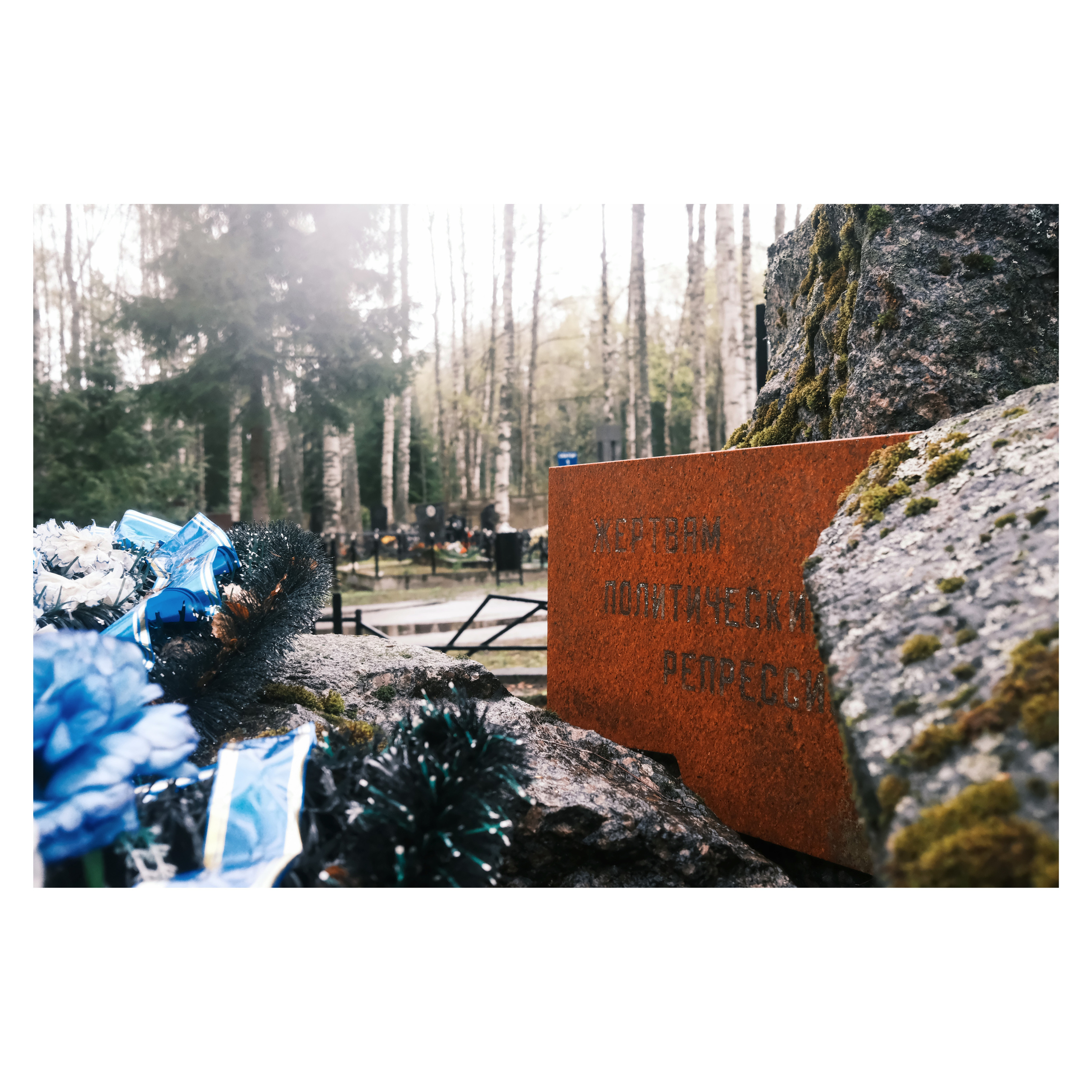 DMITLAG: Memorial, May-June 2022. Photographer in Israel Alice Milchin