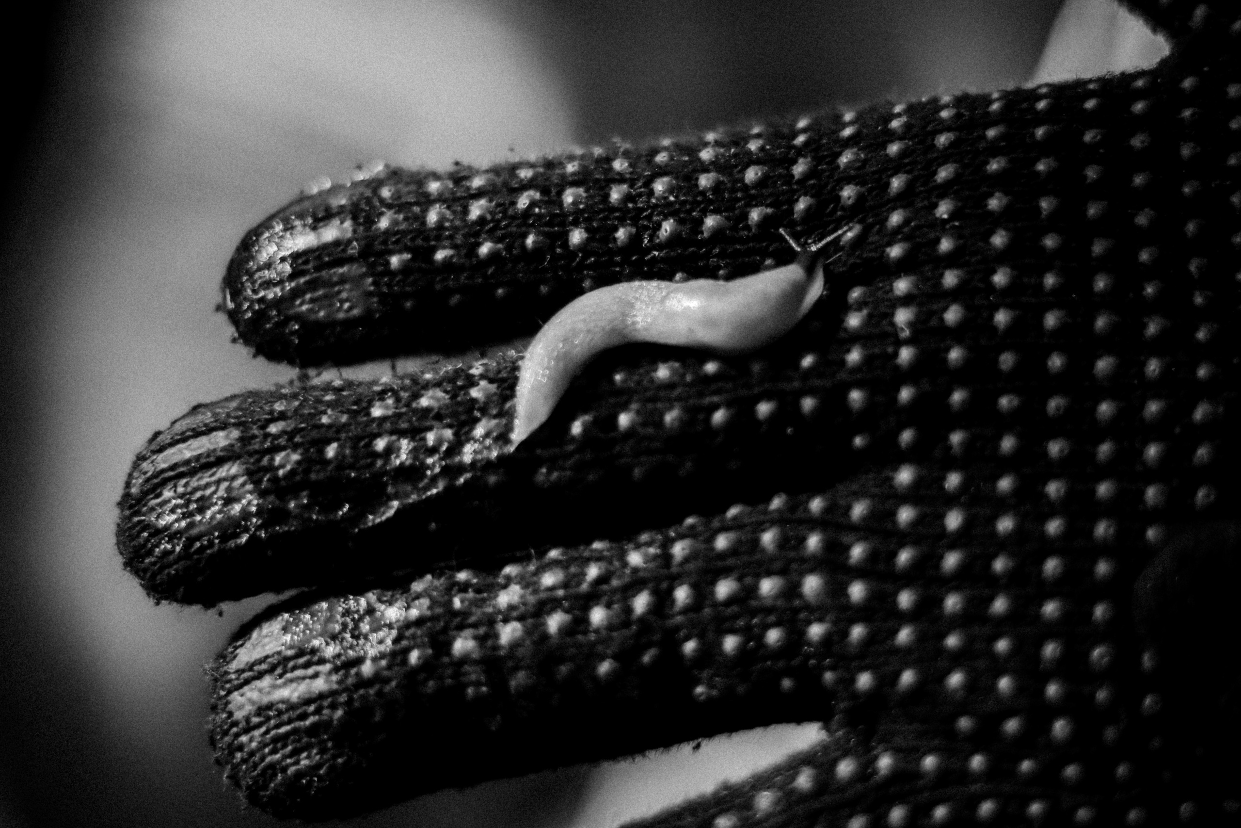 Cleaning the forest with Arshak Makichyan and Tasha Tale, August 2021. Photographer in Israel Alice Milchin