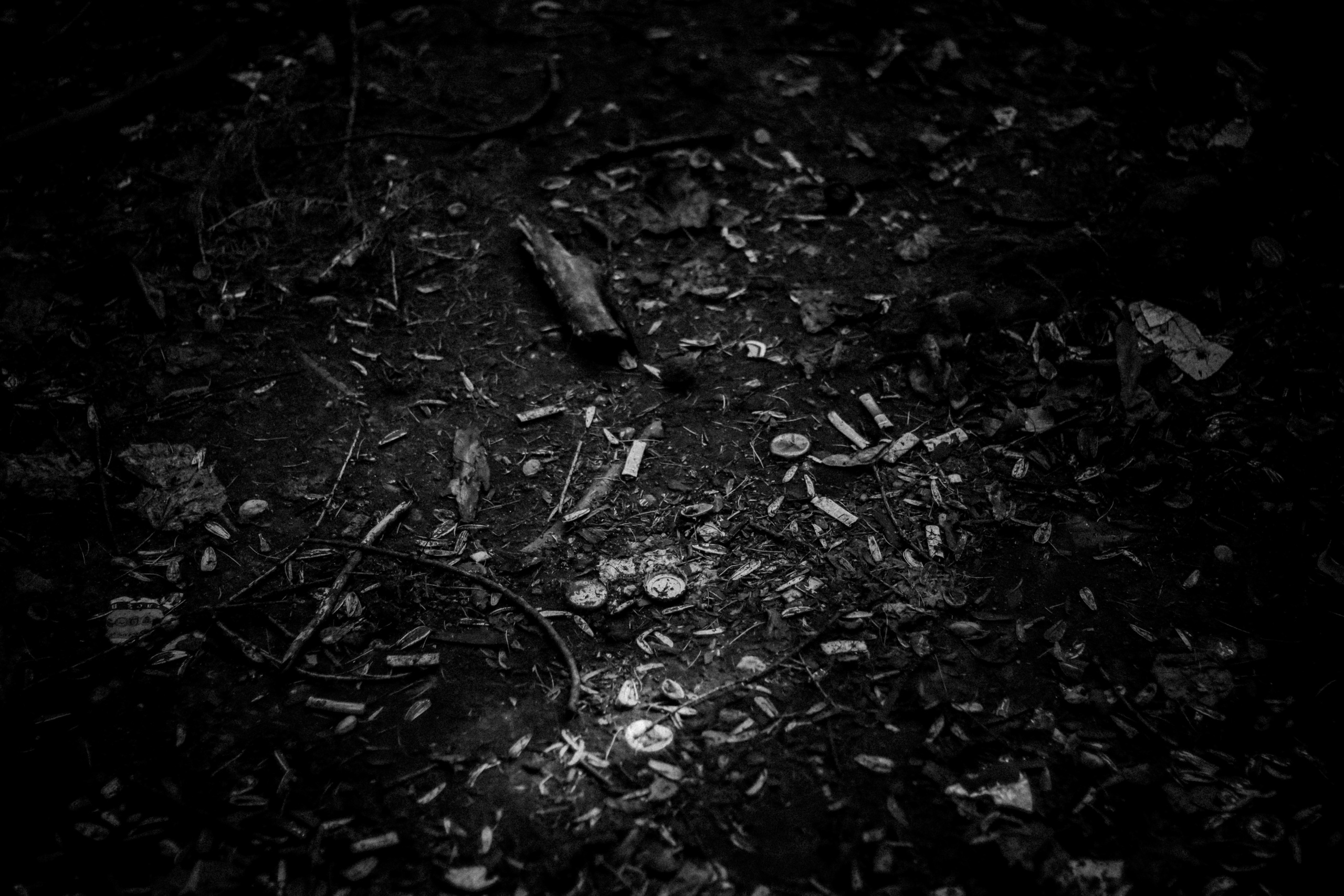 Cleaning the forest with Arshak Makichyan and Tasha Tale, August 2021. Photographer in Israel Alice Milchin