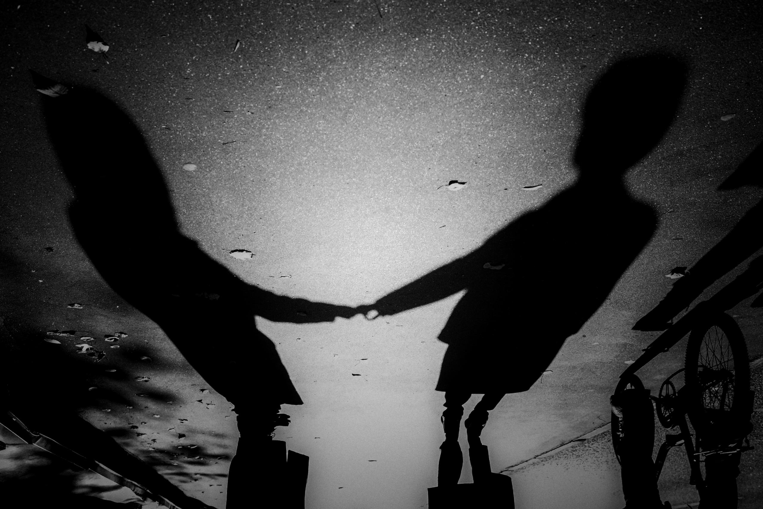 Sasha and Sasha, October 2022. Photographer in Israel Alice Milchin