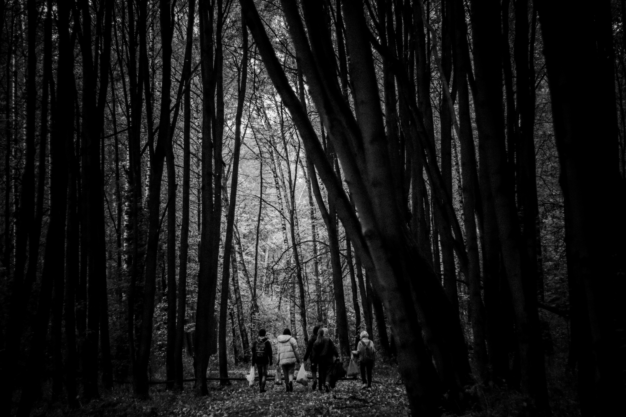 Cleaning the forest with Arshak Makichyan, September 2021. Photographer in Israel Alice Milchin
