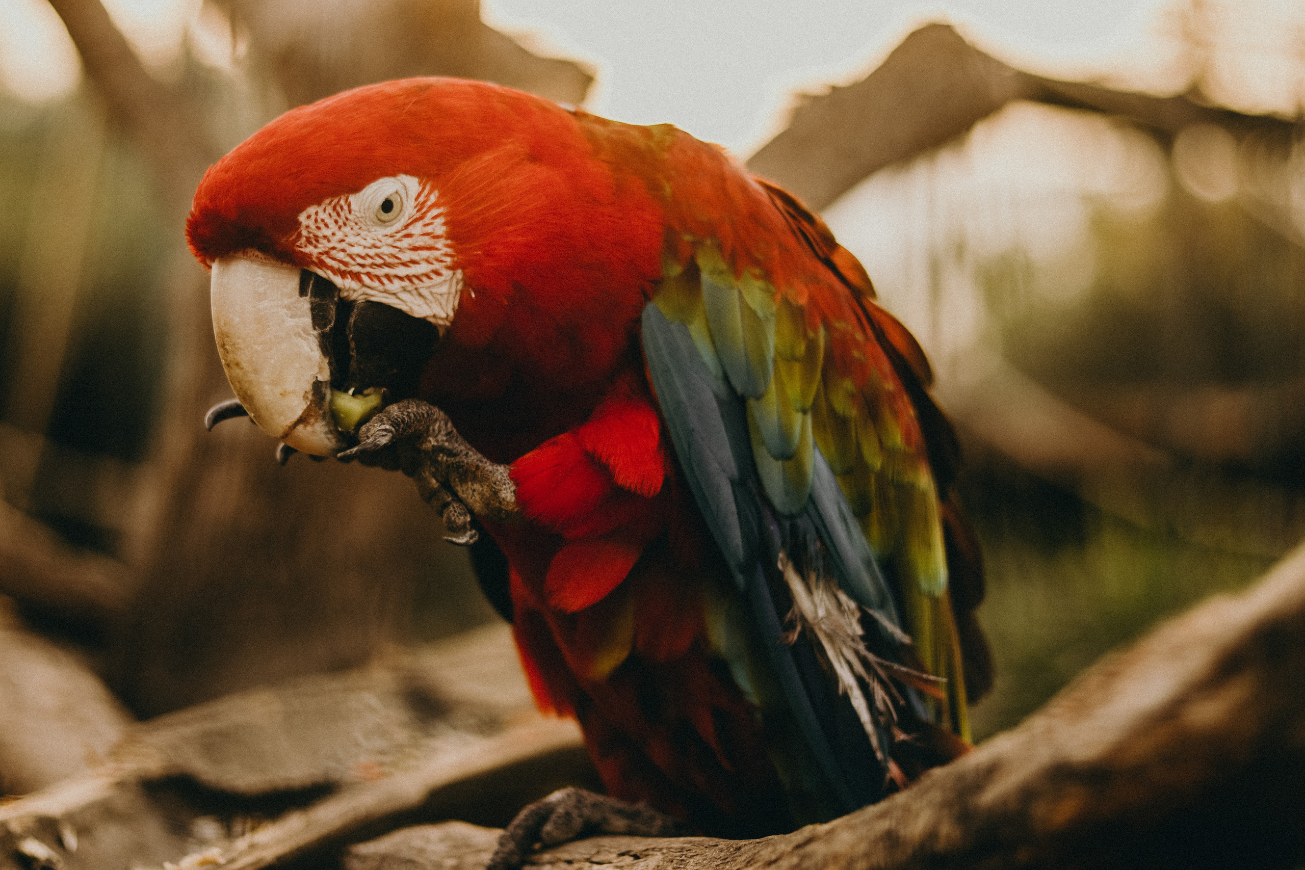 Attica Zoo, Greece, November 2021. Photographer in Israel Alice Milchin