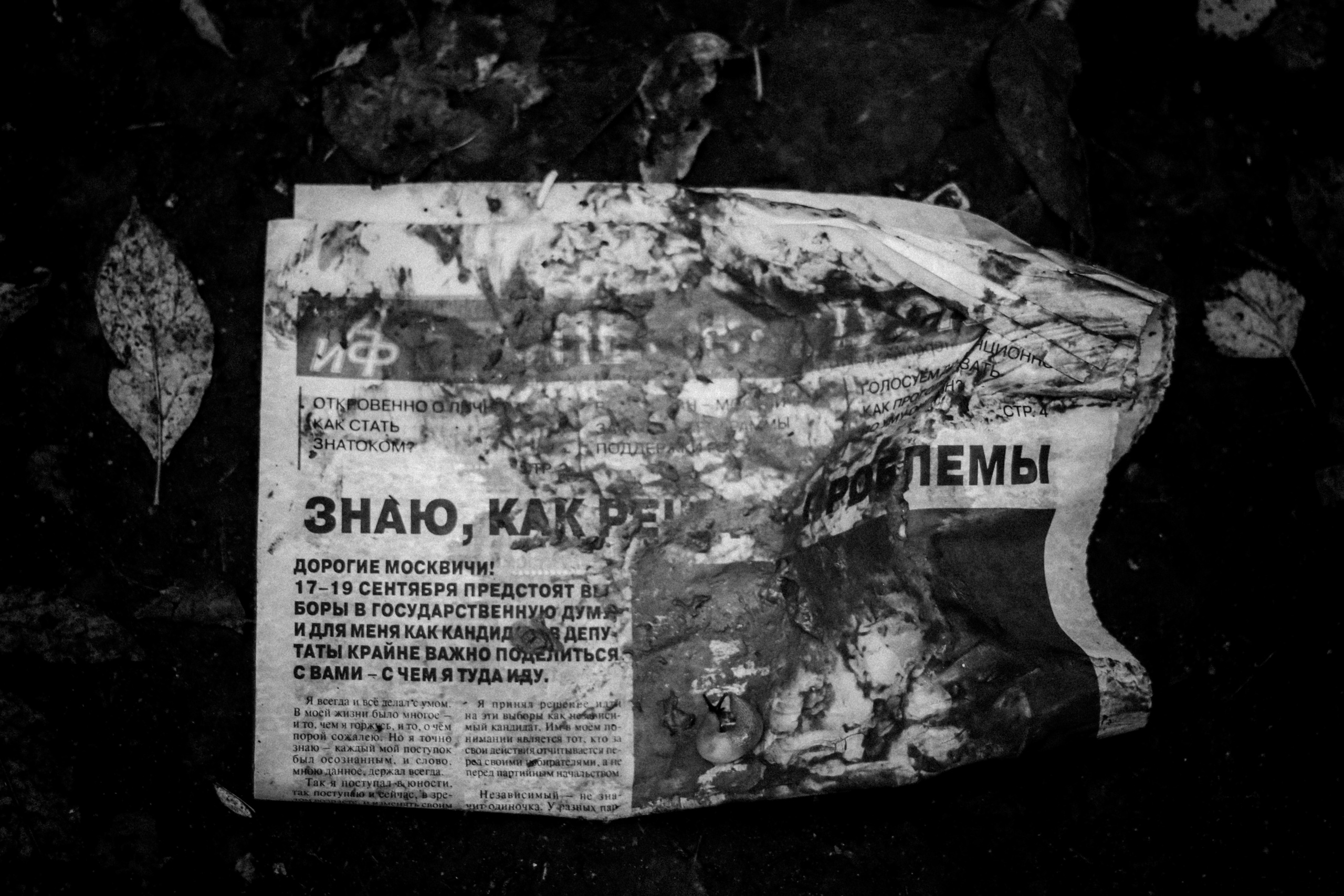 Cleaning the forest with Arshak Makichyan, September 2021. Photographer in Israel Alice Milchin