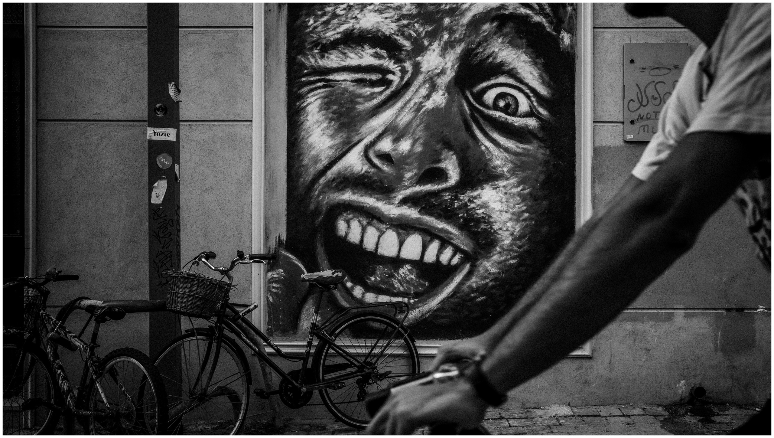 Summer in Israel, 2022. Photographer in Israel Alice Milchin