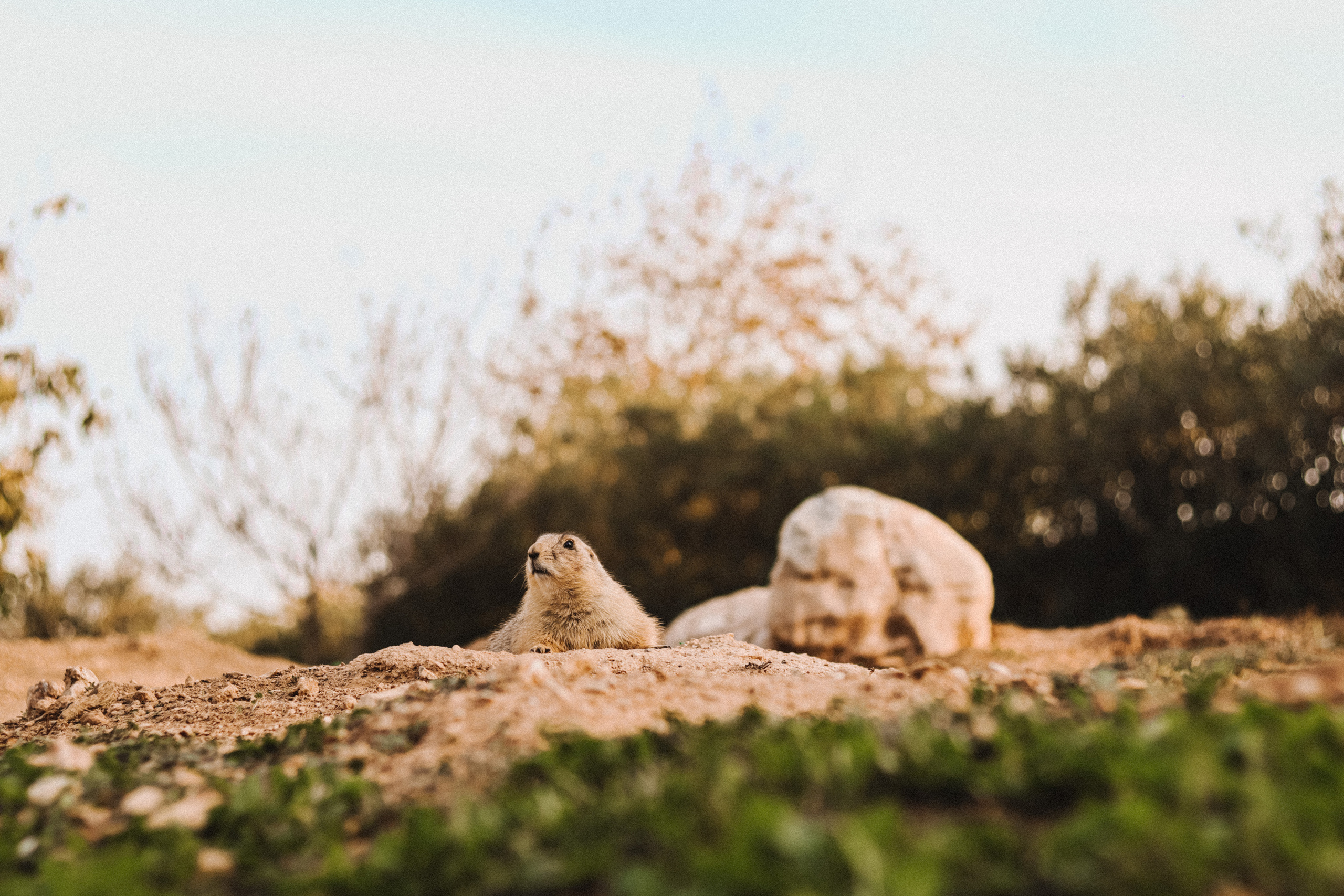 Attica Zoo, Greece, November 2021. Photographer in Israel Alice Milchin