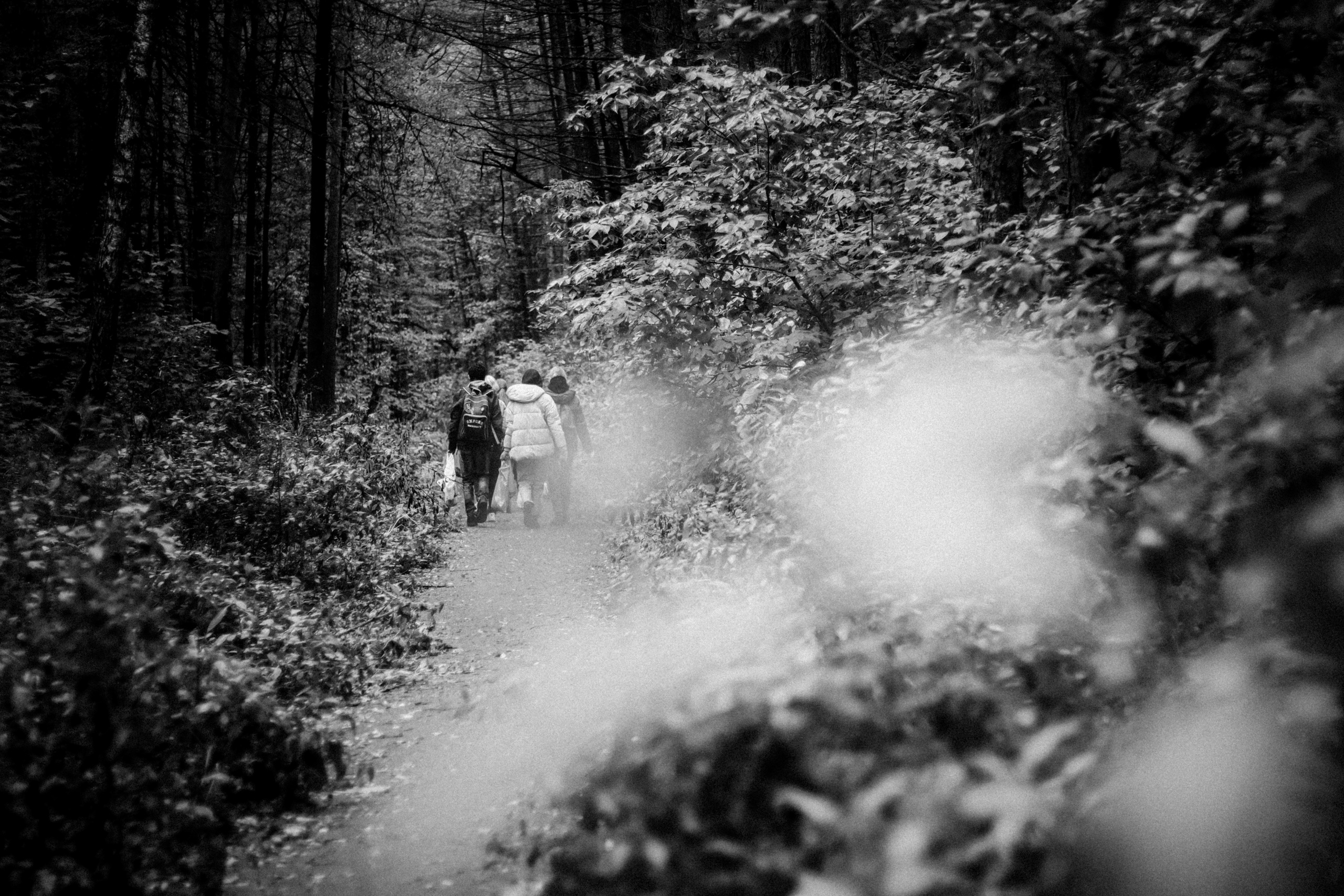 Cleaning the forest with Arshak Makichyan, September 2021. Photographer in Israel Alice Milchin