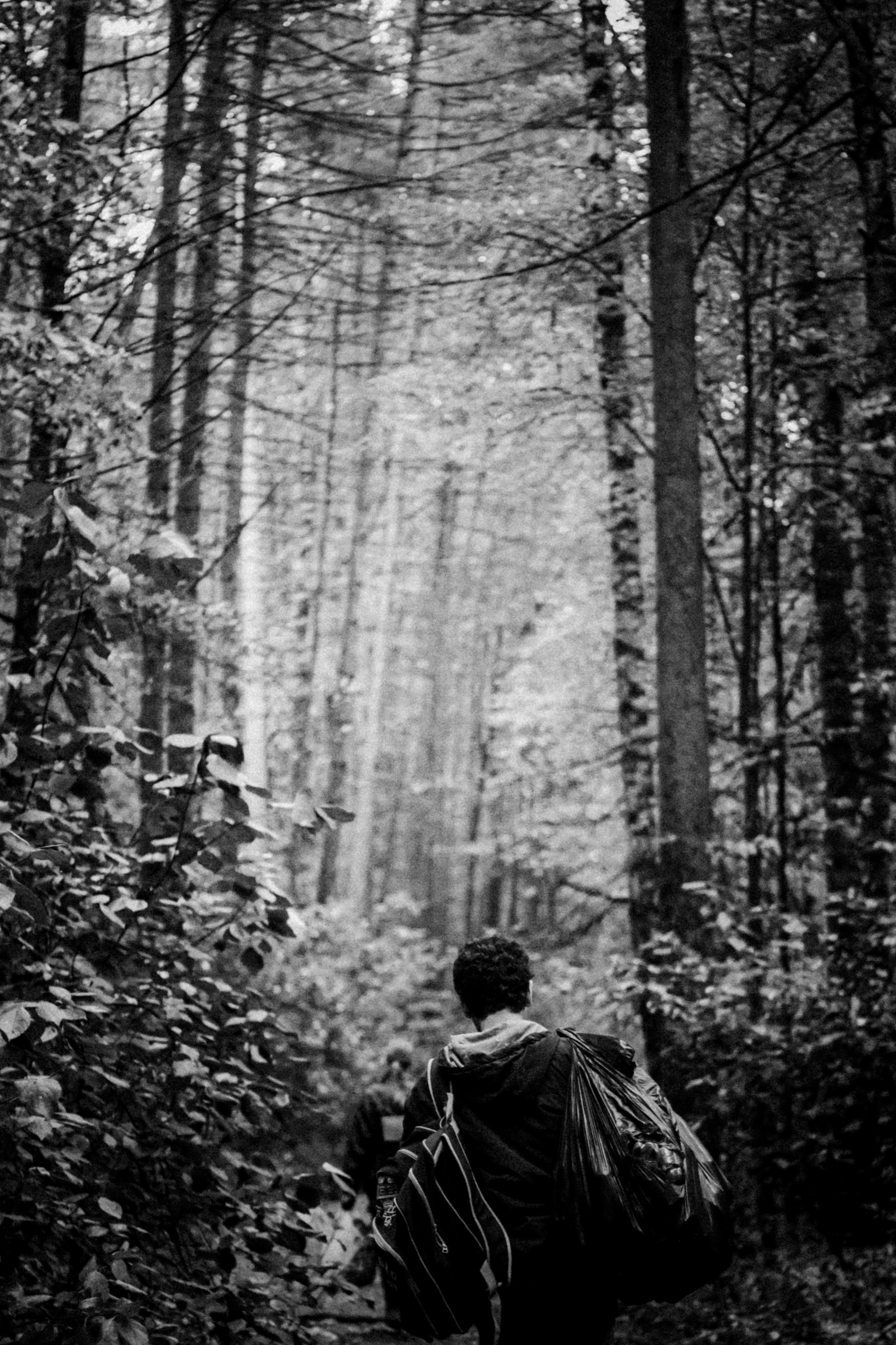 Cleaning the forest with Arshak Makichyan, September 2021. Photographer in Israel Alice Milchin