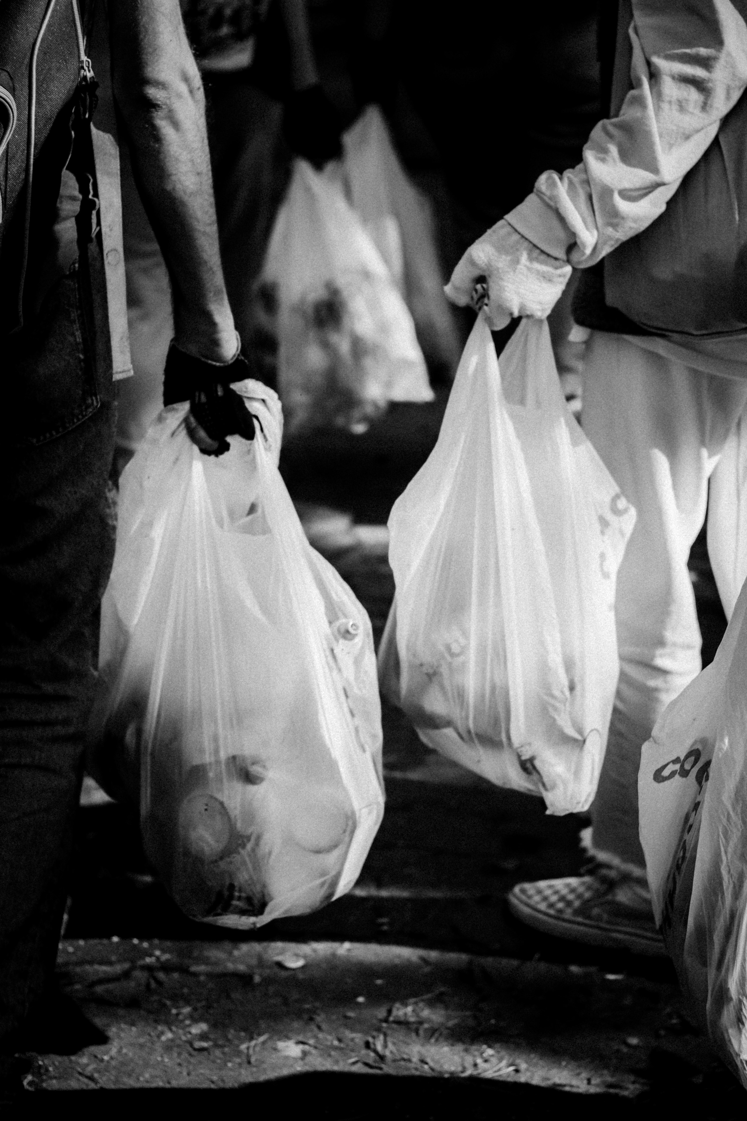 Cleaning the forest with Arshak Makichyan and Tasha Tale, August 2021. Photographer in Israel Alice Milchin