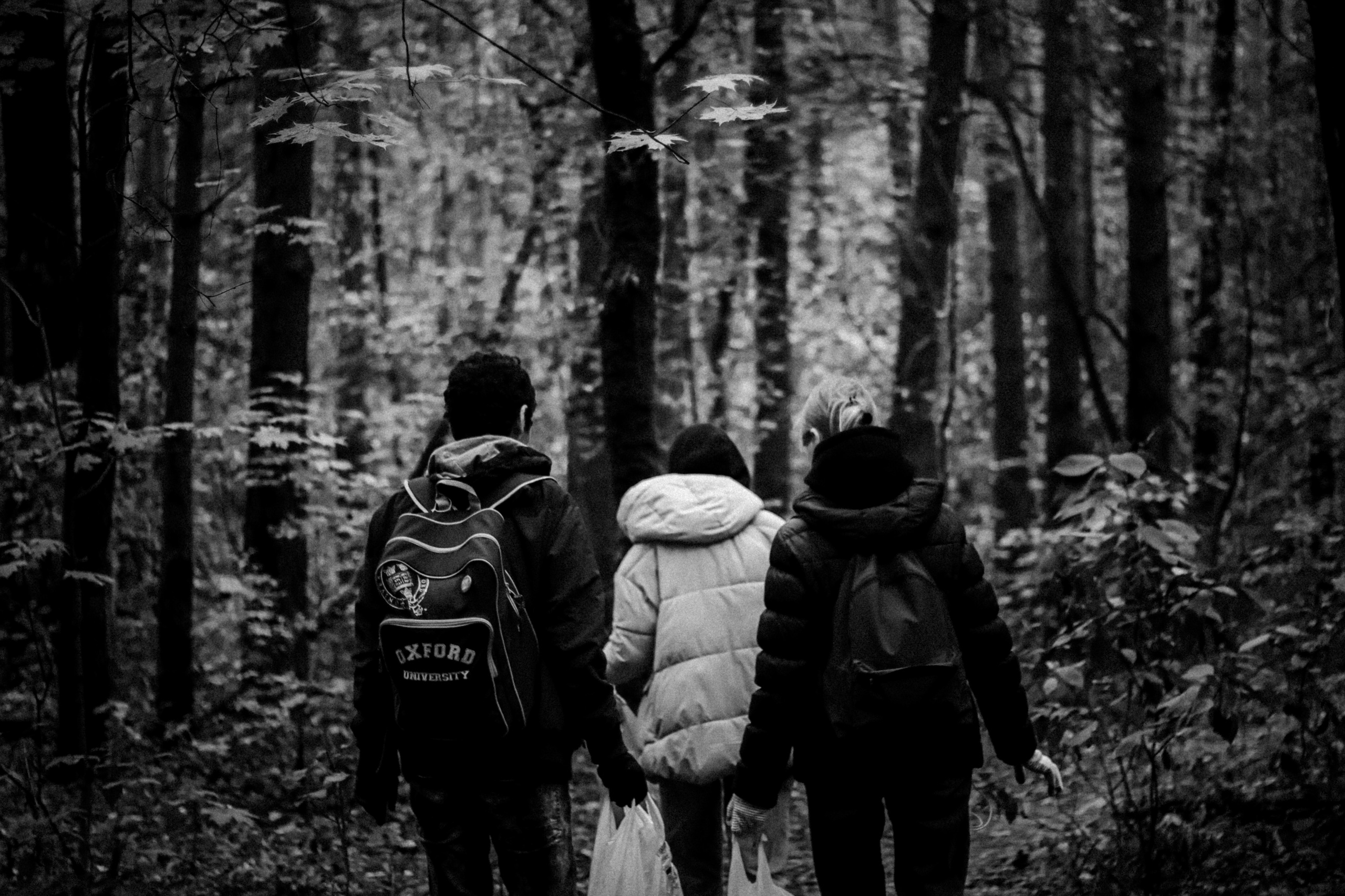 Cleaning the forest with Arshak Makichyan, September 2021. Photographer in Israel Alice Milchin