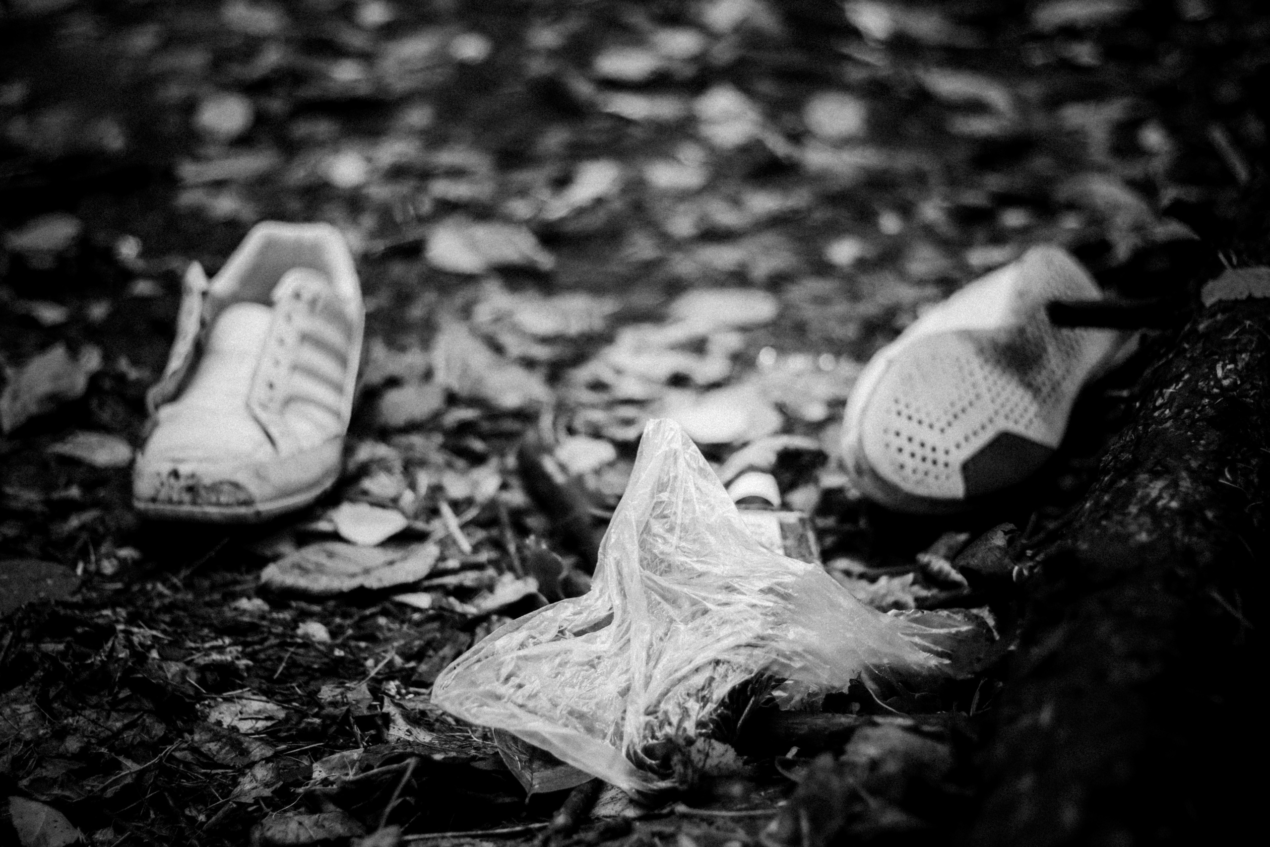 Cleaning the forest with Arshak Makichyan, September 2021. Photographer in Israel Alice Milchin
