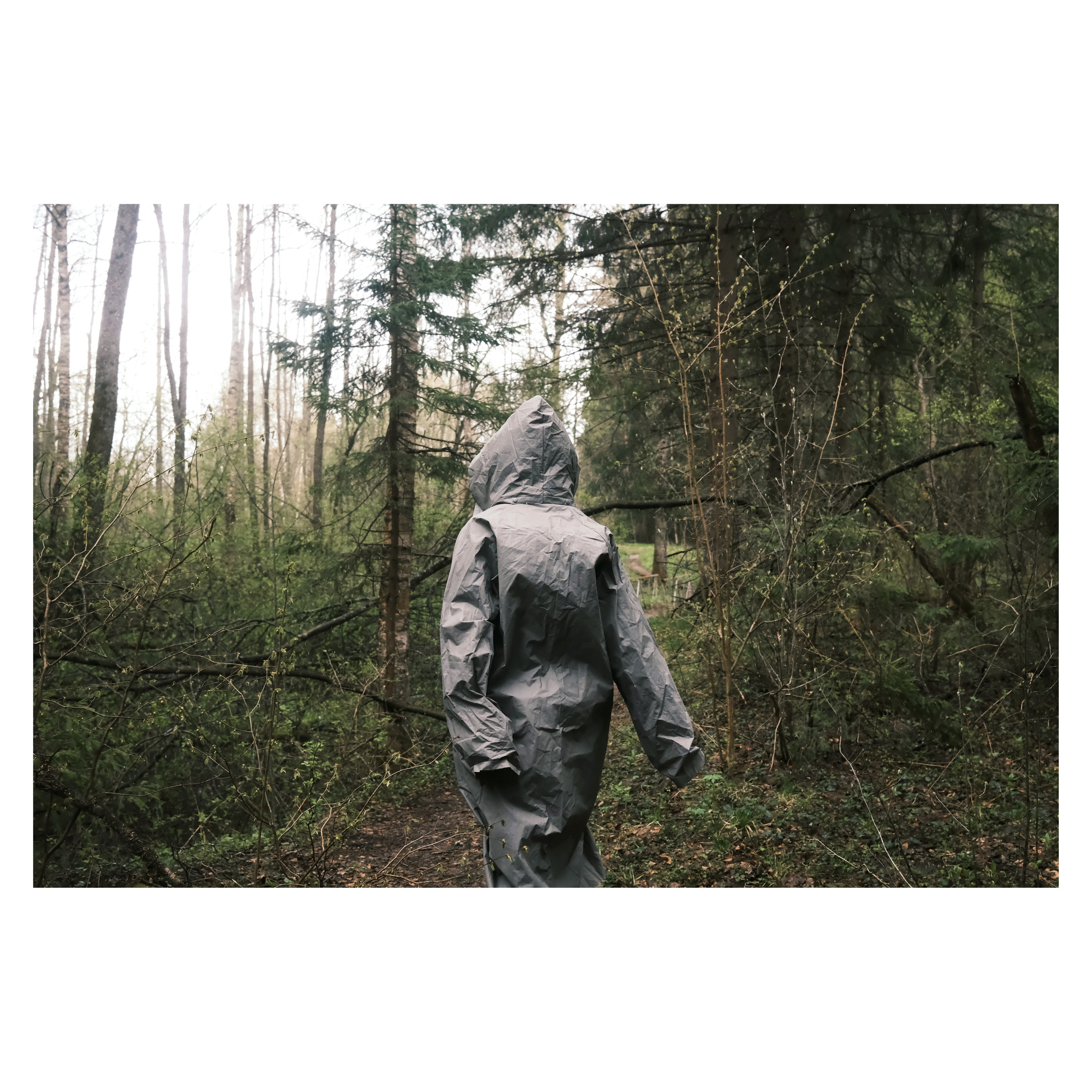 DMITLAG: Memorial, May-June 2022. Photographer in Israel Alice Milchin