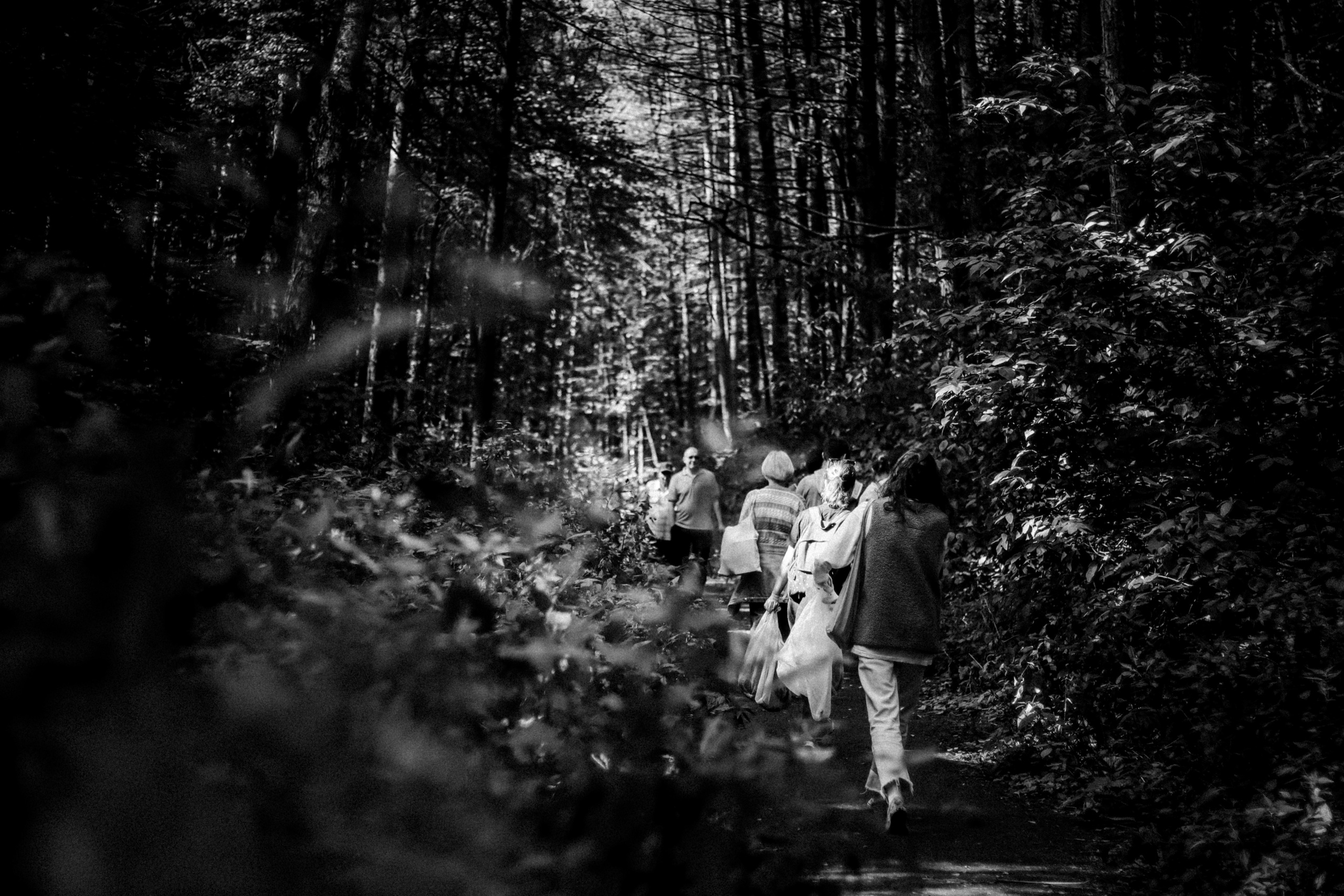 Cleaning the forest with Arshak Makichyan and Tasha Tale, August 2021. Photographer in Israel Alice Milchin
