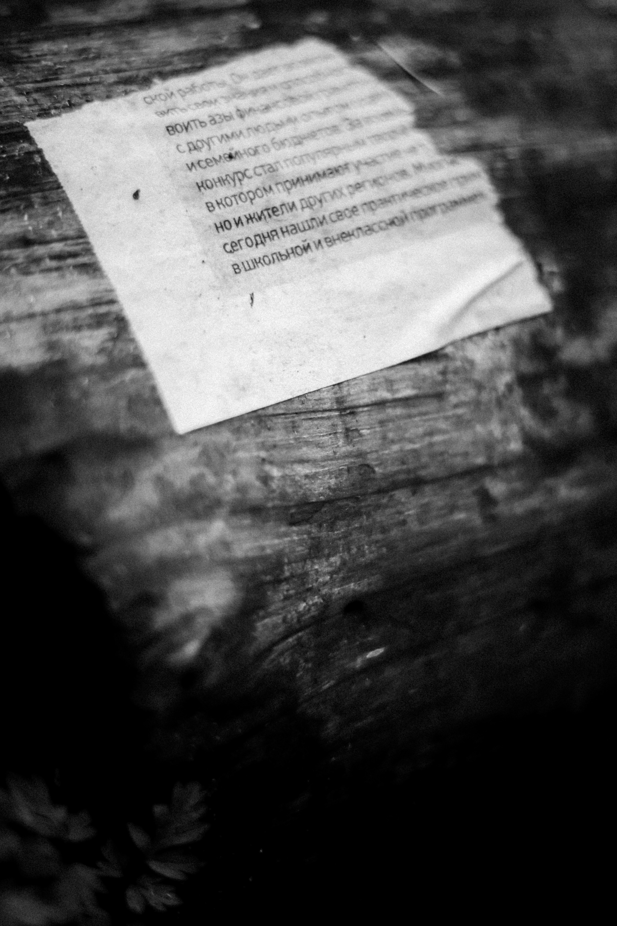 Cleaning the forest with Arshak Makichyan, September 2021. Photographer in Israel Alice Milchin