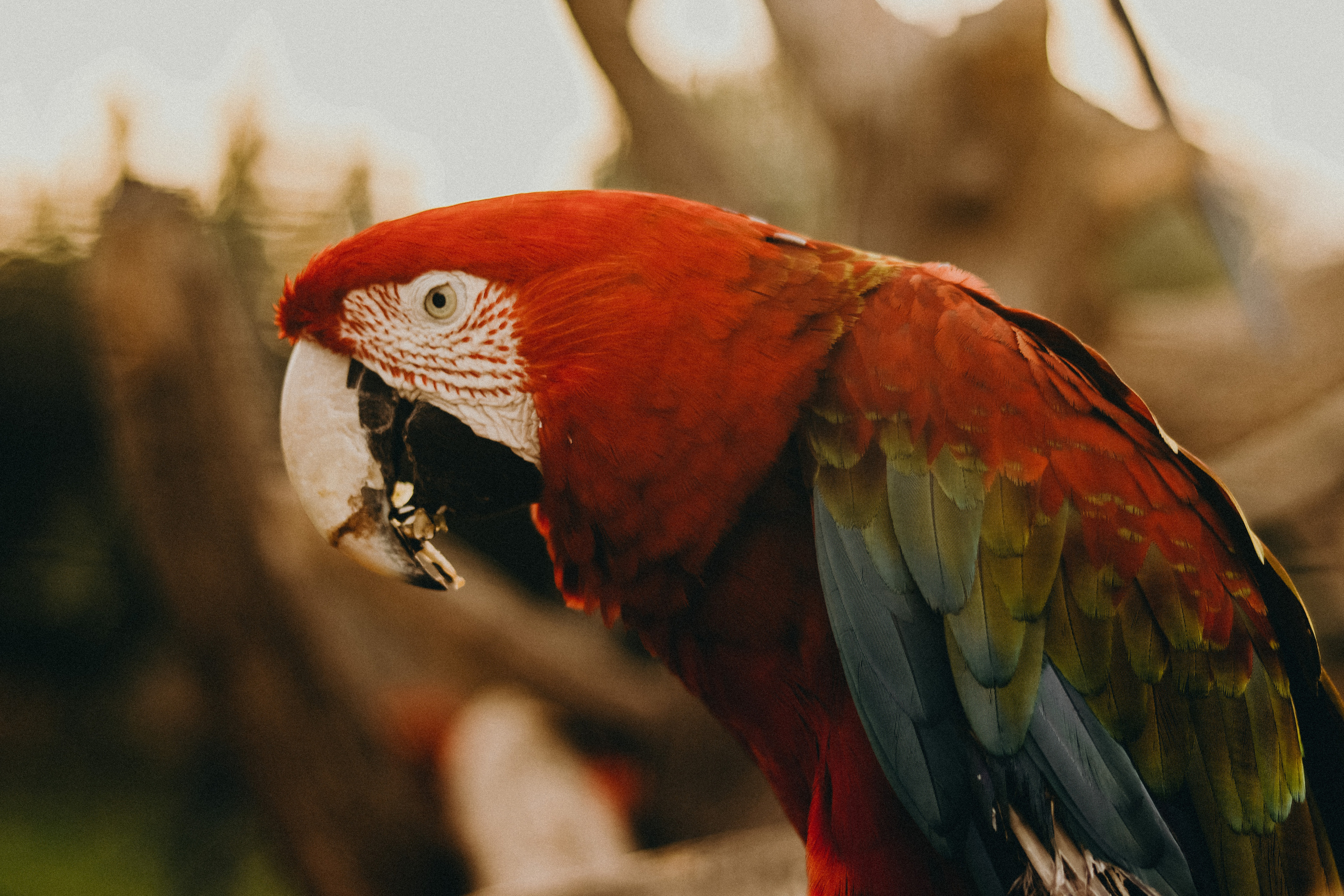 Attica Zoo, Greece, November 2021. Photographer in Israel Alice Milchin