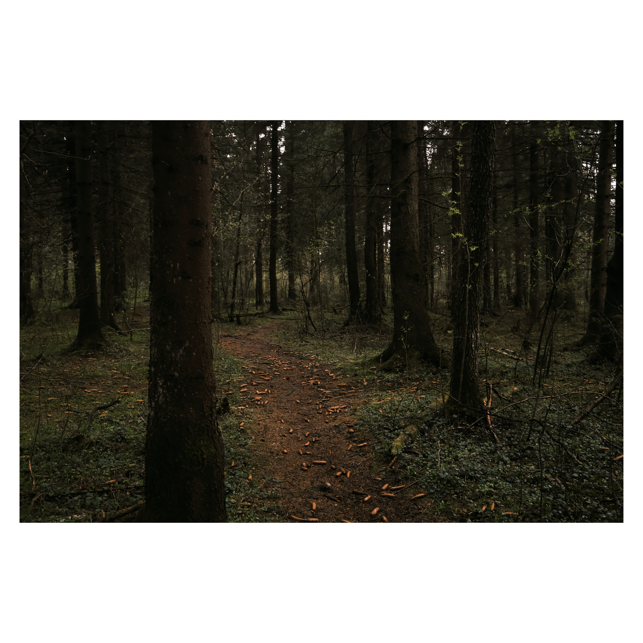 DMITLAG: Memorial, May-June 2022. Photographer in Israel Alice Milchin