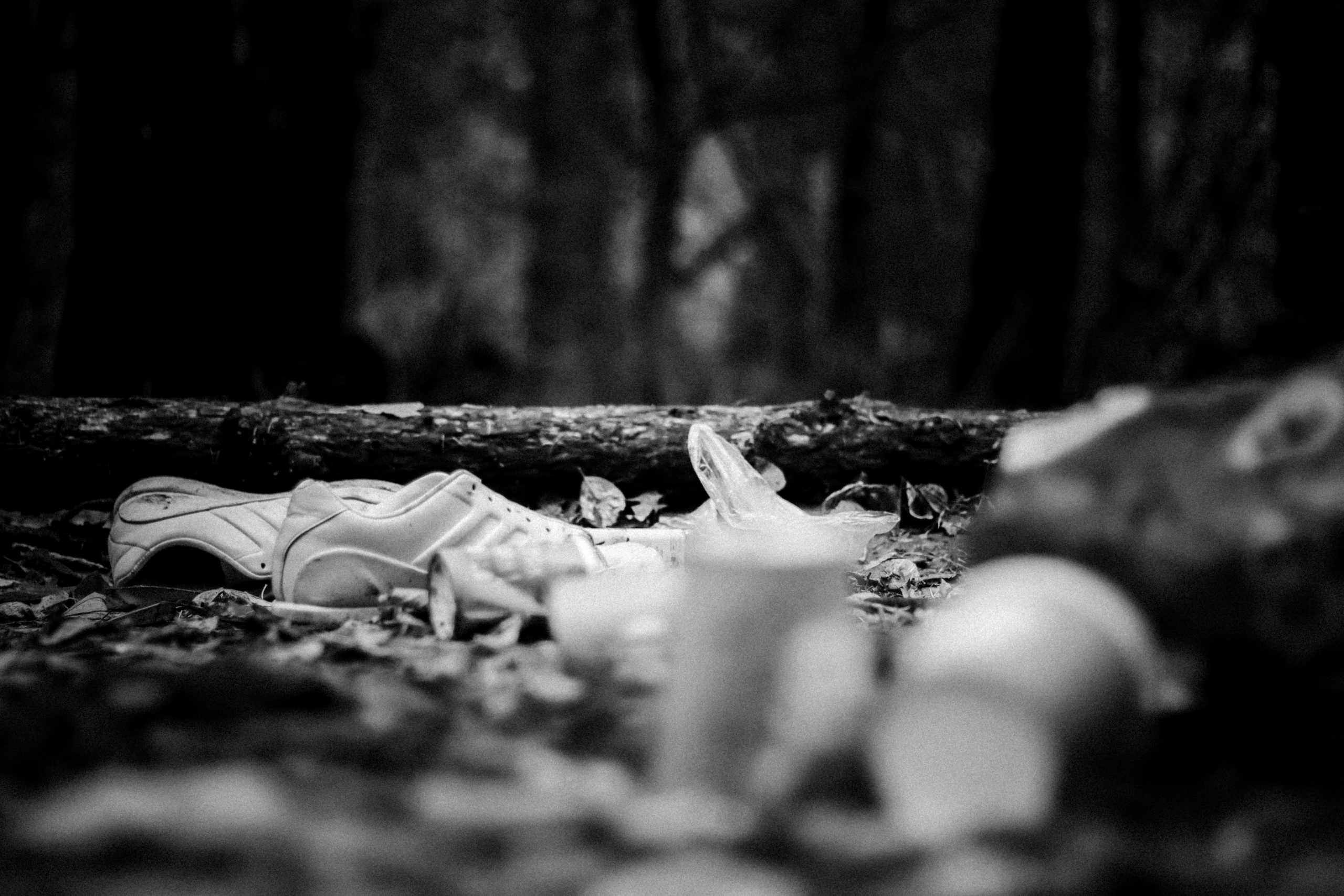 Cleaning the forest with Arshak Makichyan, September 2021. Photographer in Israel Alice Milchin