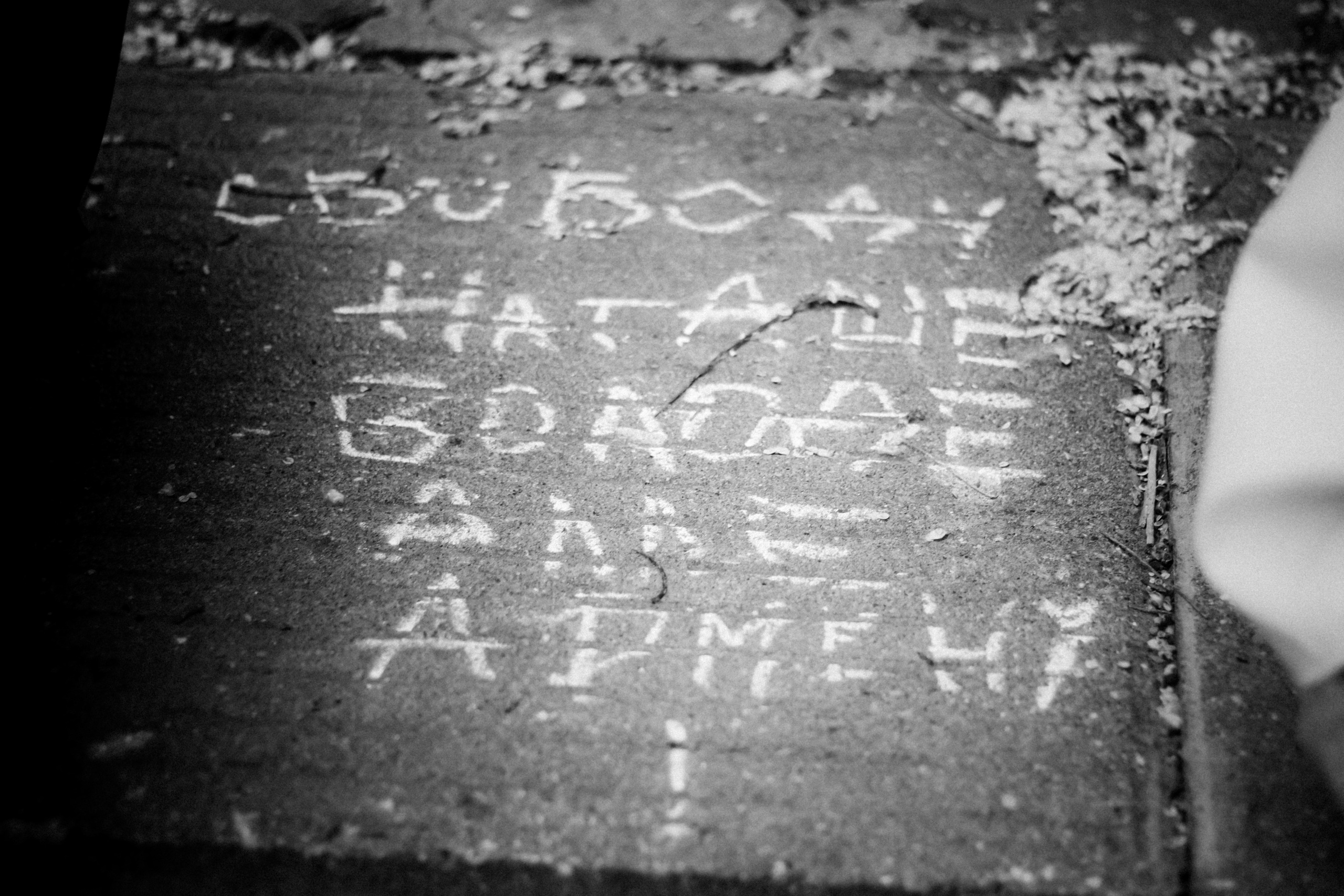 DOXA: Basmanny court, June 9th 2021. Photographer in Israel Alice Milchin