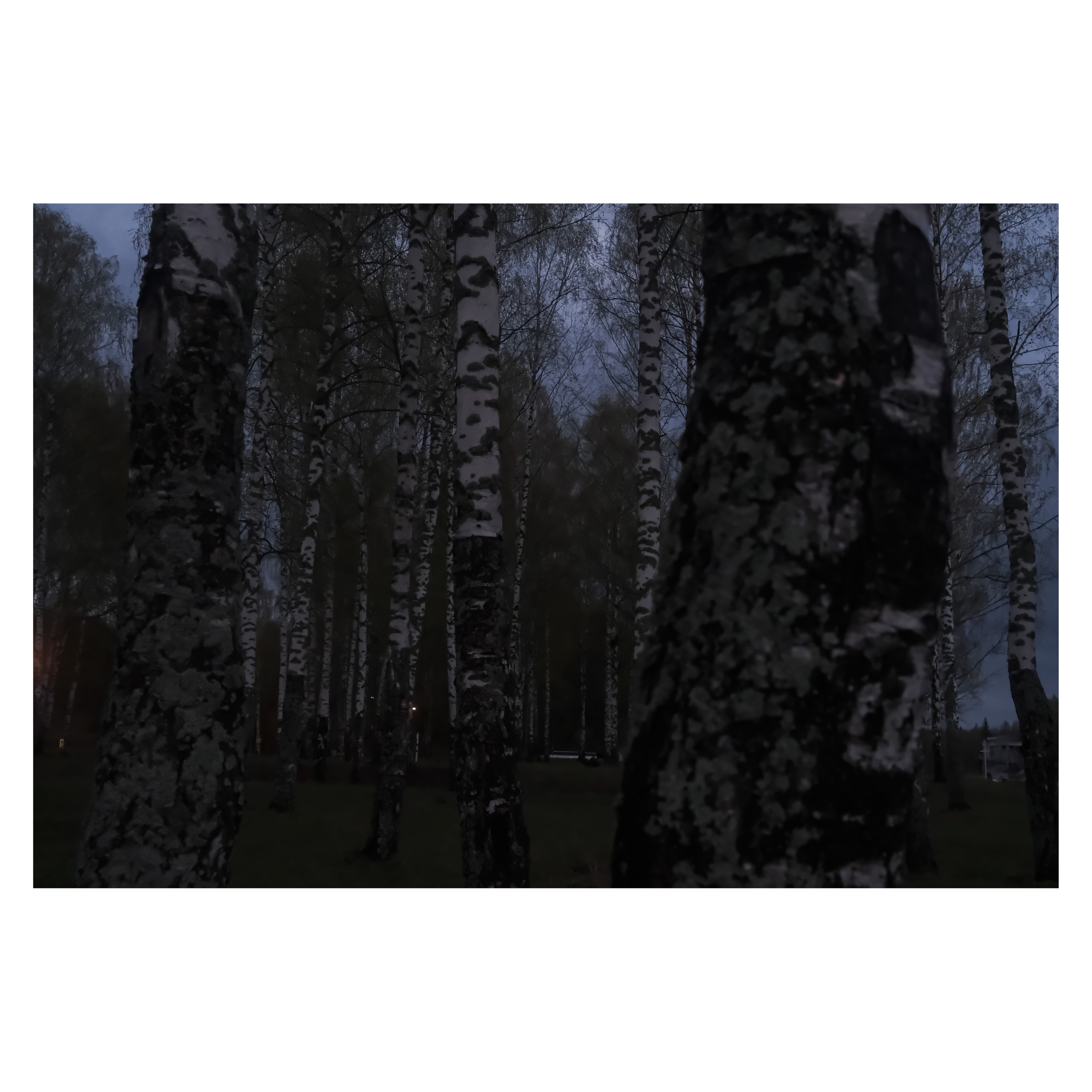 DMITLAG: Memorial, May-June 2022. Photographer in Israel Alice Milchin