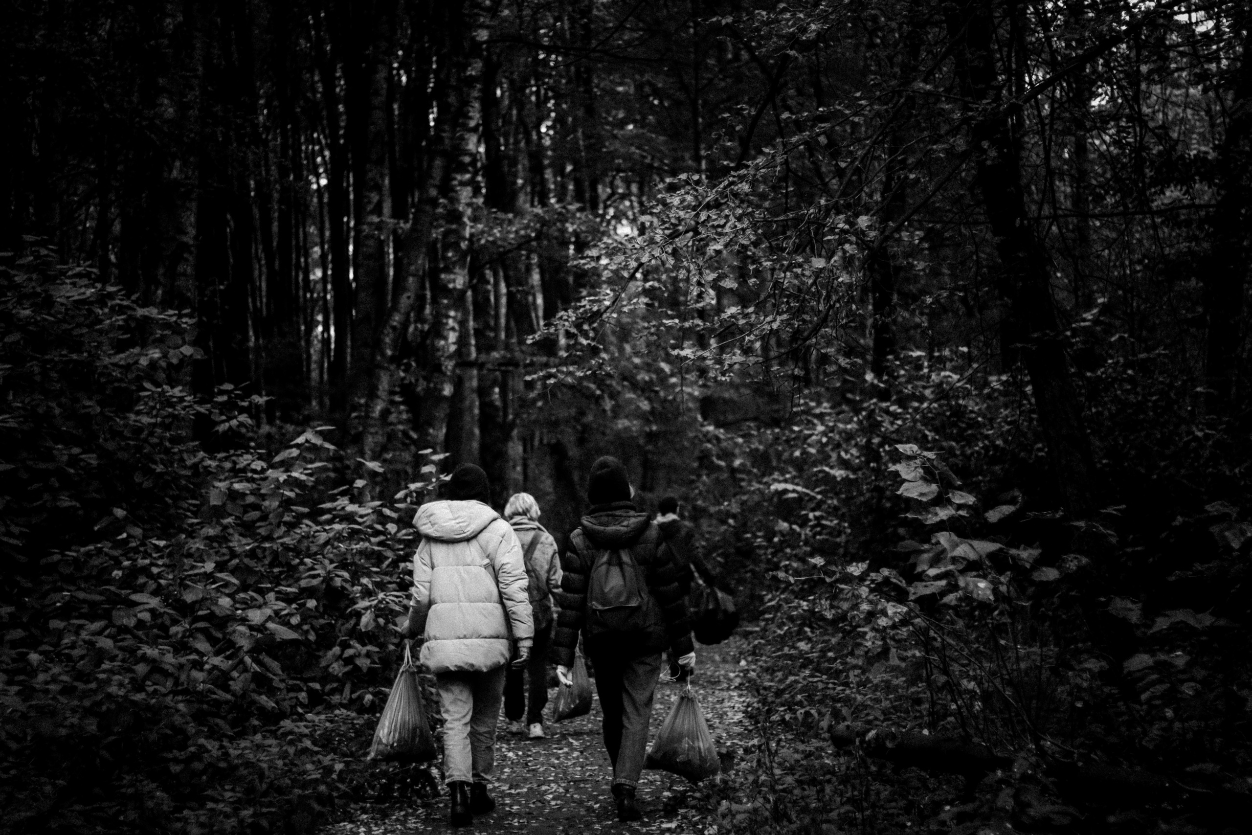 Cleaning the forest with Arshak Makichyan, September 2021. Photographer in Israel Alice Milchin