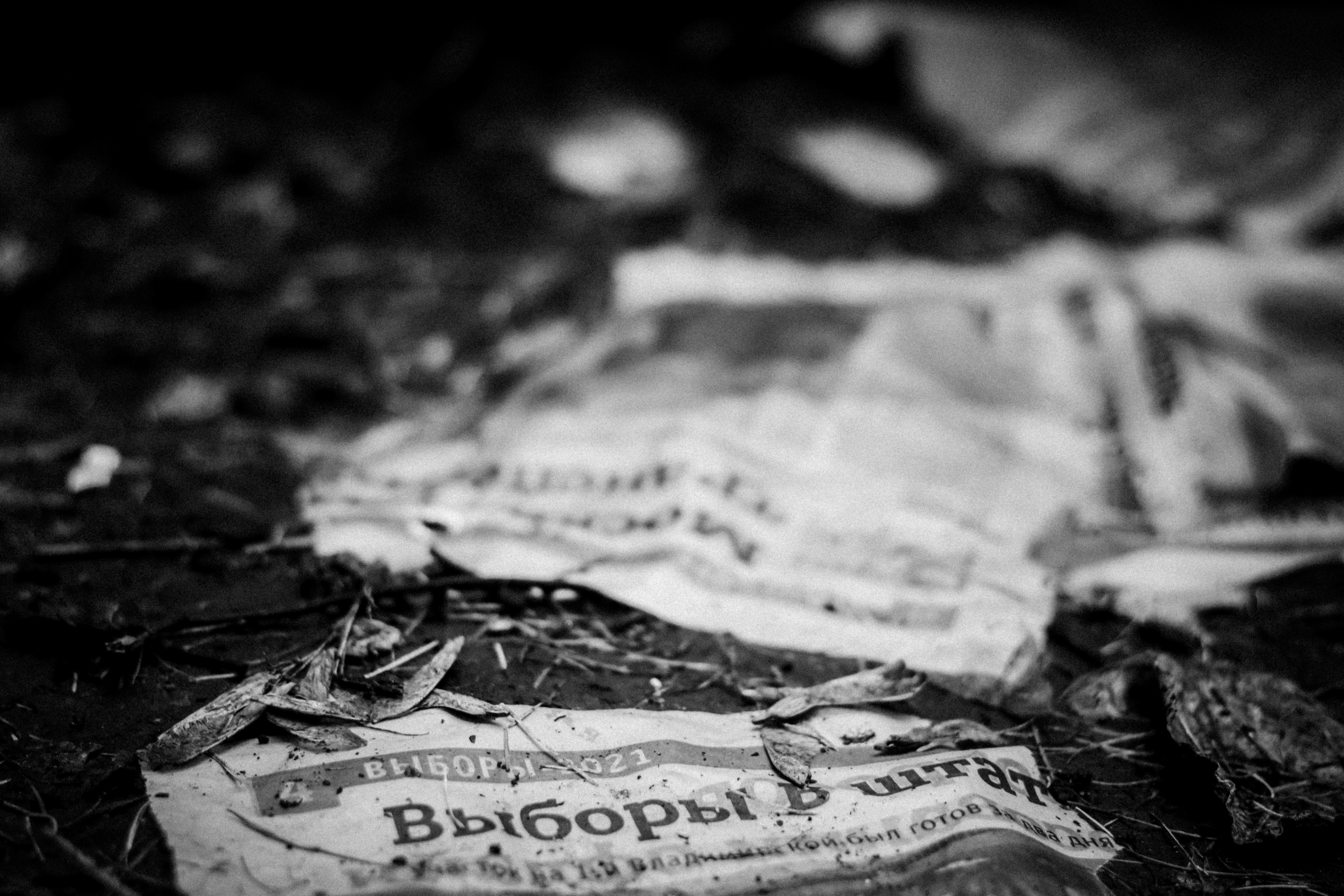 Cleaning the forest with Arshak Makichyan, September 2021. Photographer in Israel Alice Milchin