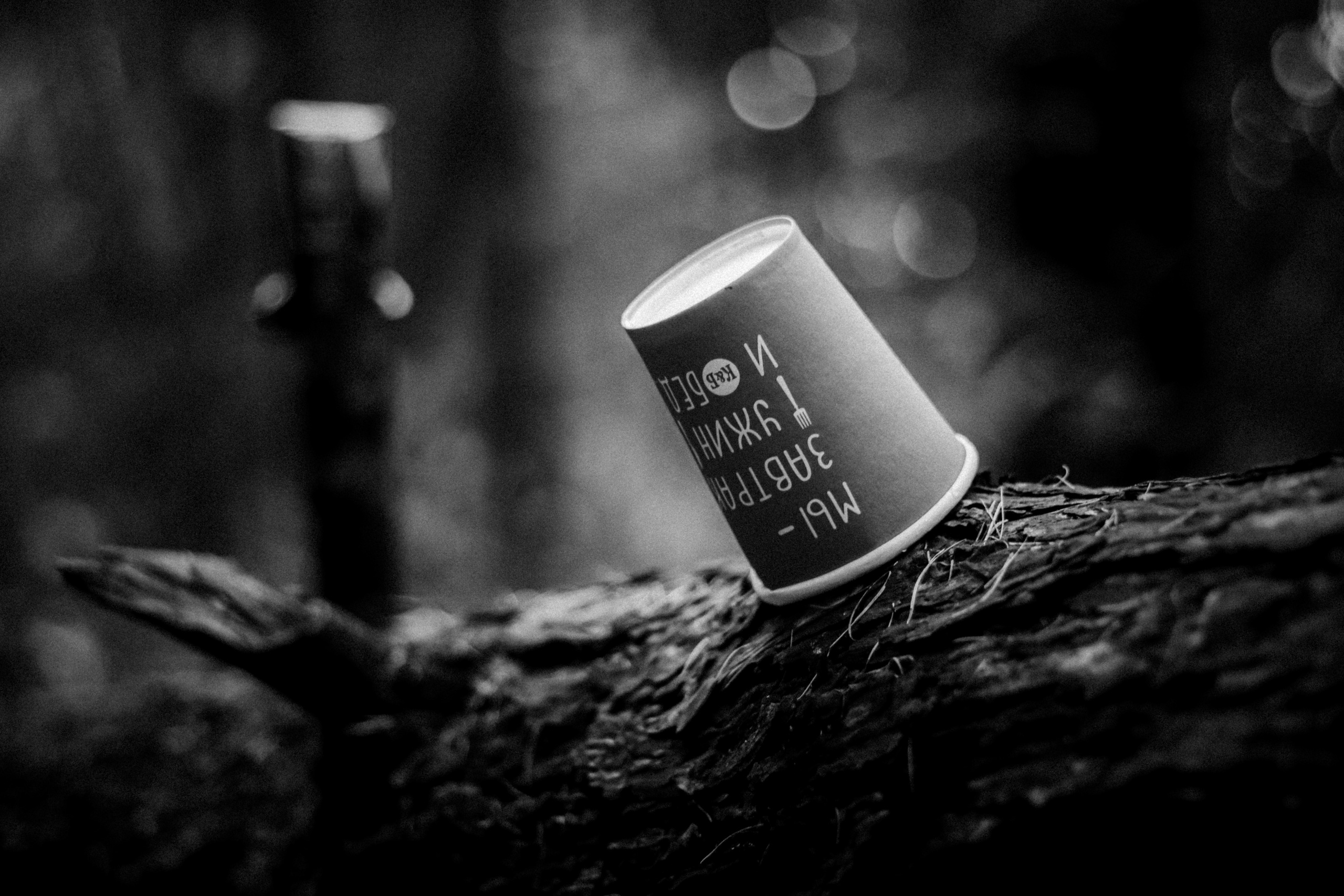 Cleaning the forest with Arshak Makichyan, September 2021. Photographer in Israel Alice Milchin