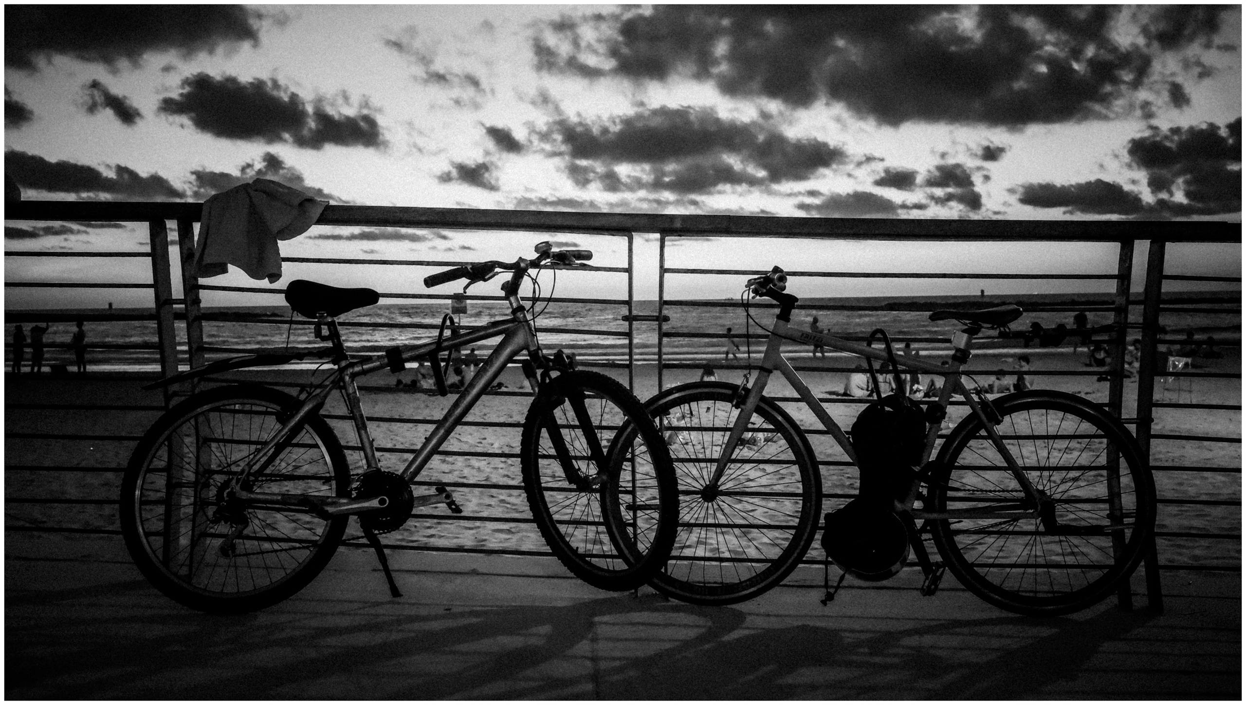 Summer in Israel, 2022. Photographer in Israel Alice Milchin