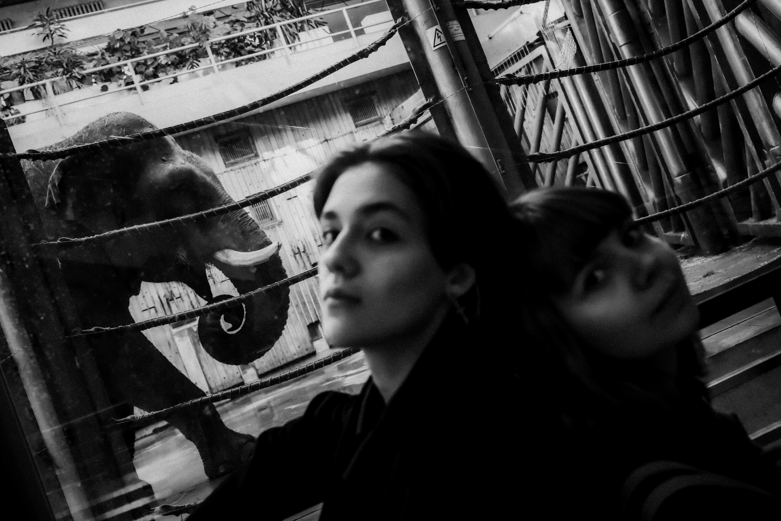 Sasha and Sasha, October 2022. Photographer in Israel Alice Milchin