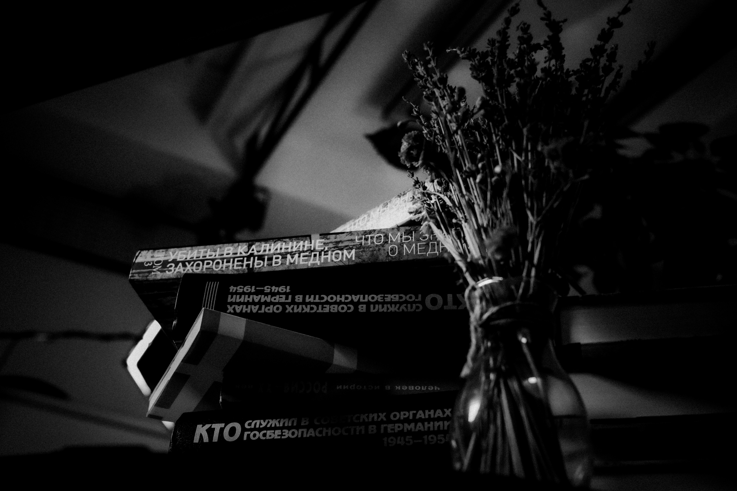 Memorial’s Big Stream, February 21th 2022. Photographer in Israel Alice Milchin