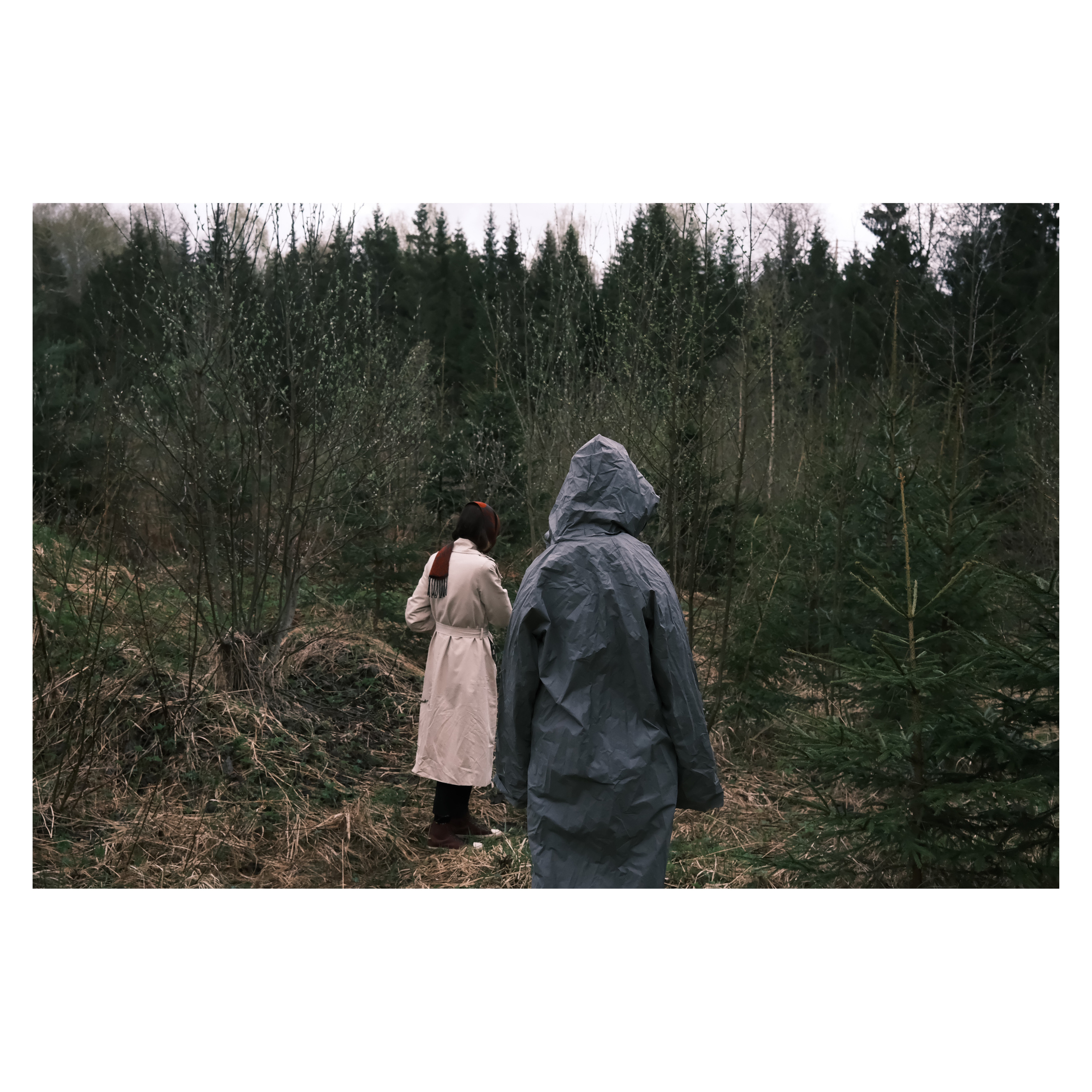 DMITLAG: Memorial, May-June 2022. Photographer in Israel Alice Milchin