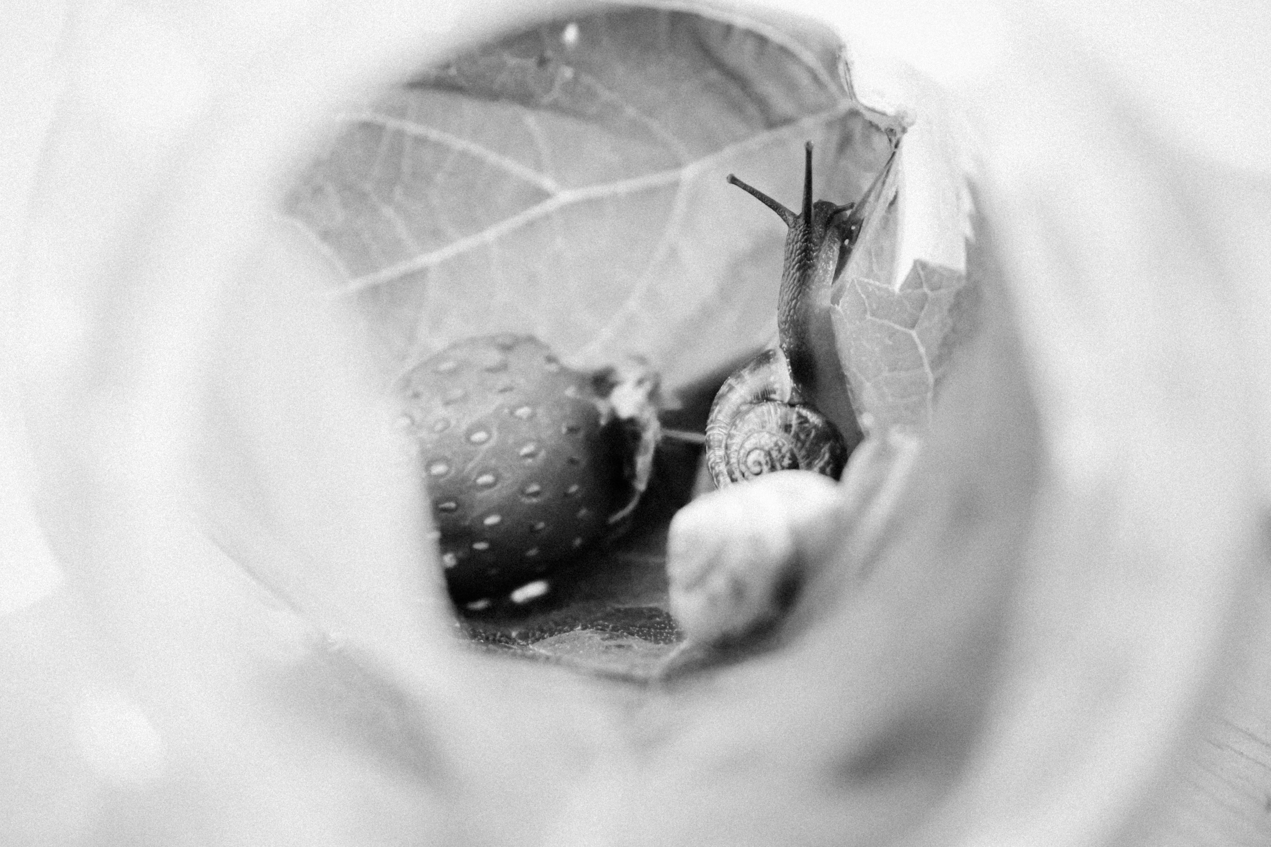 Russian nature, June 2020. Photographer in Israel Alice Milchin