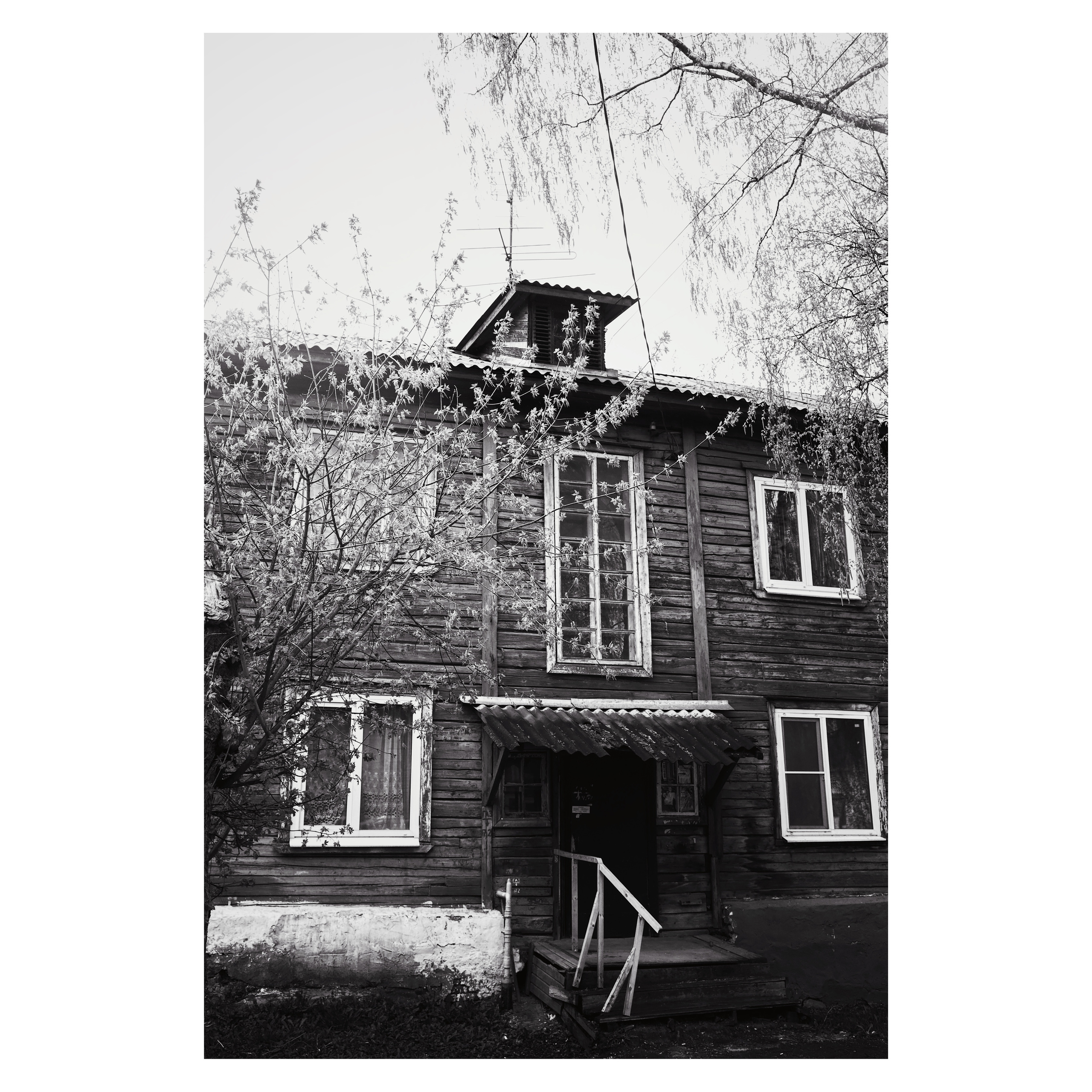 DMITLAG: Memorial, May-June 2022. Photographer in Israel Alice Milchin