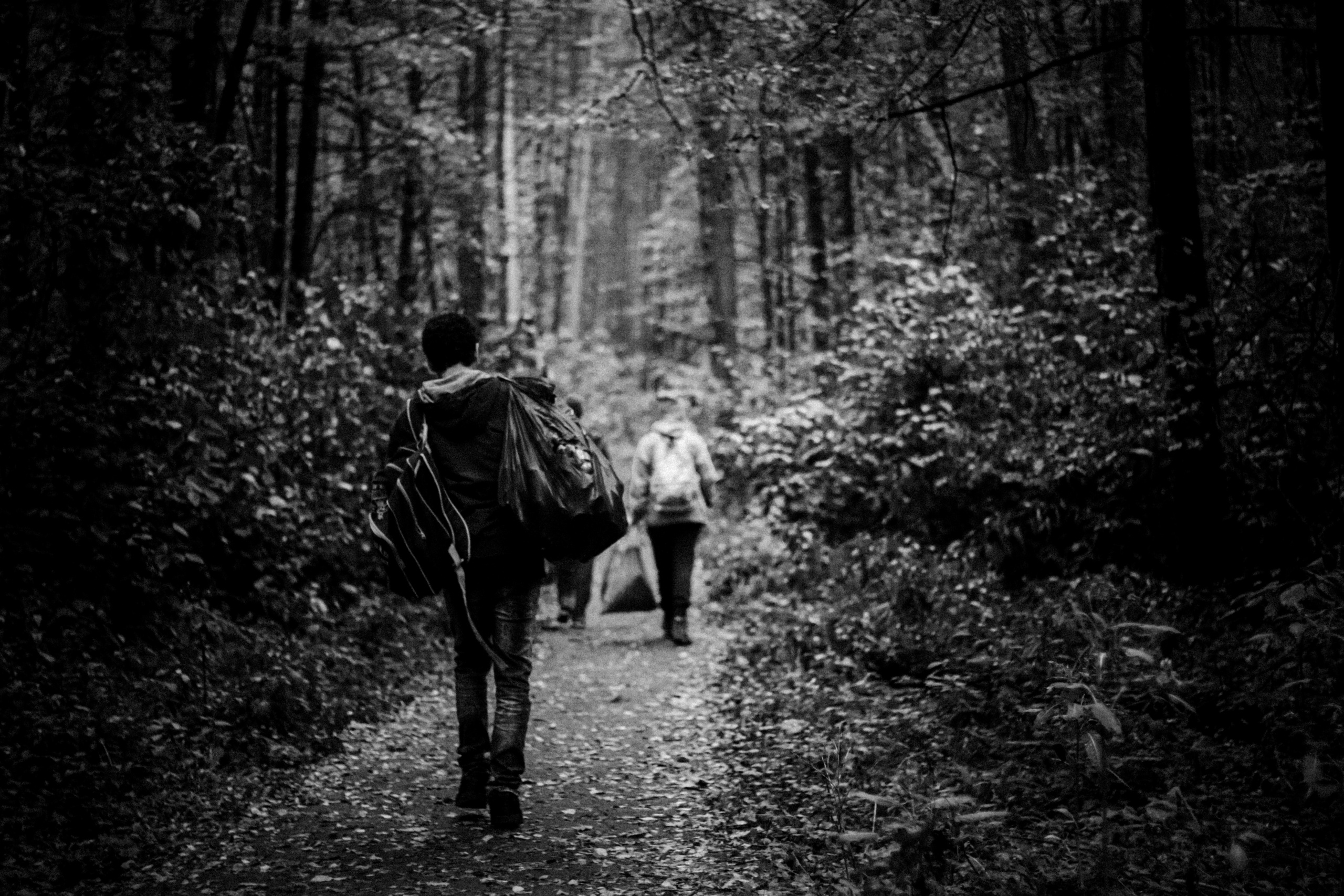 Cleaning the forest with Arshak Makichyan, September 2021. Photographer in Israel Alice Milchin