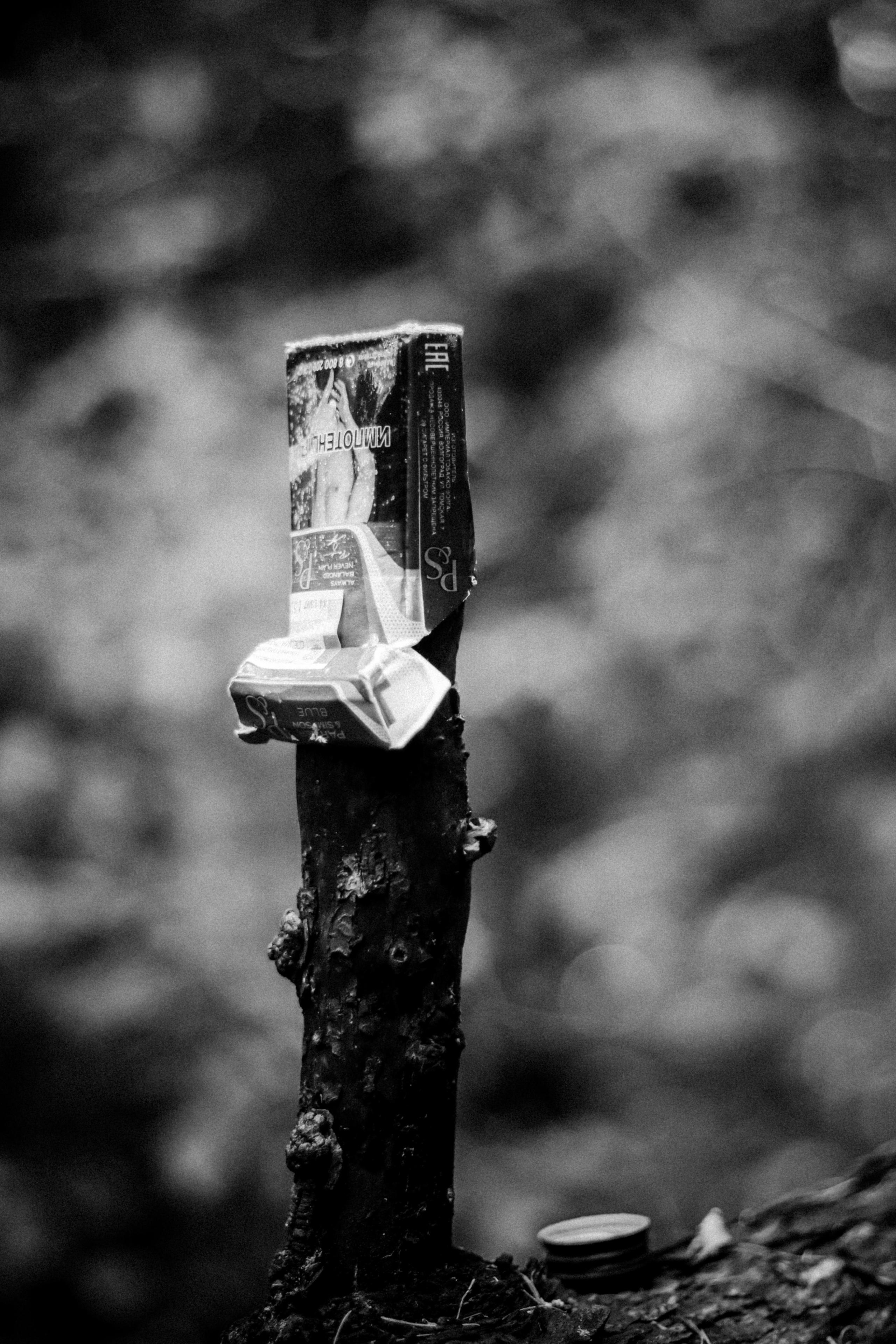 Cleaning the forest with Arshak Makichyan, September 2021. Photographer in Israel Alice Milchin
